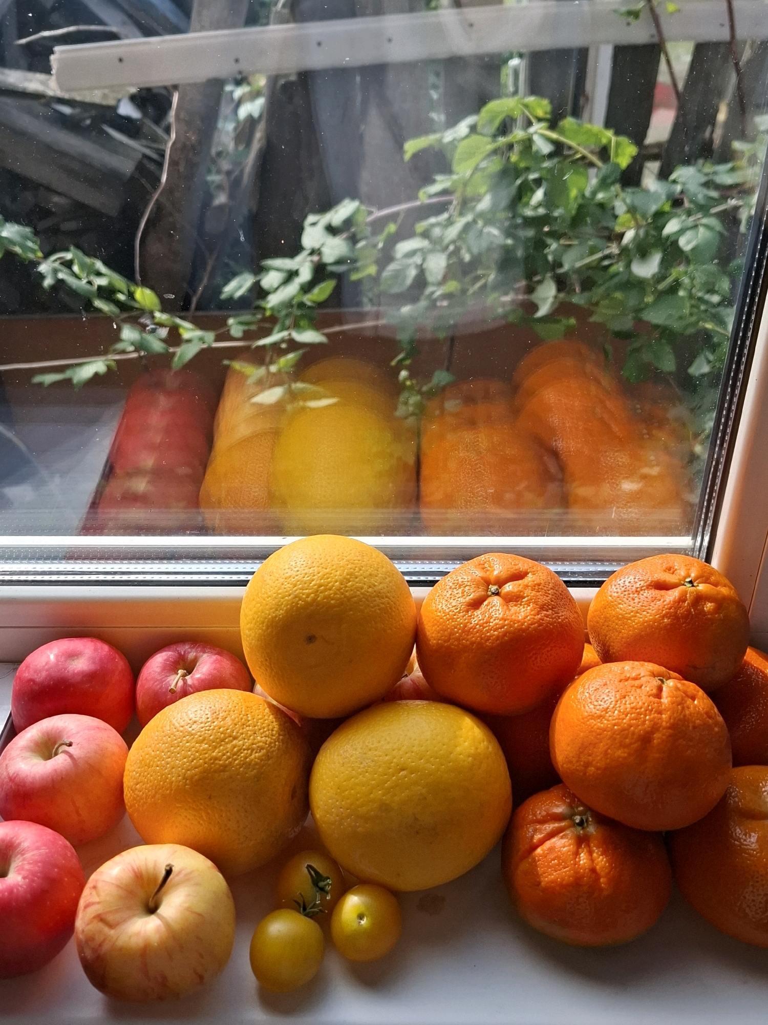 The image depicts a still life of various fruits and vegetables arranged on a windowsill. In the foreground, there are several red apples and oranges, as well as some small yellow tomatoes. Behind these fruits, through a window, a blurred background shows more oranges and what appear to be red pomegranates, along with green foliage. The setting is a windowsill, implying an indoor environment with natural light coming from the window. The image does not contain any information that can determine its location in the city of Tyumen, Russia, or any specific actions or interactions.