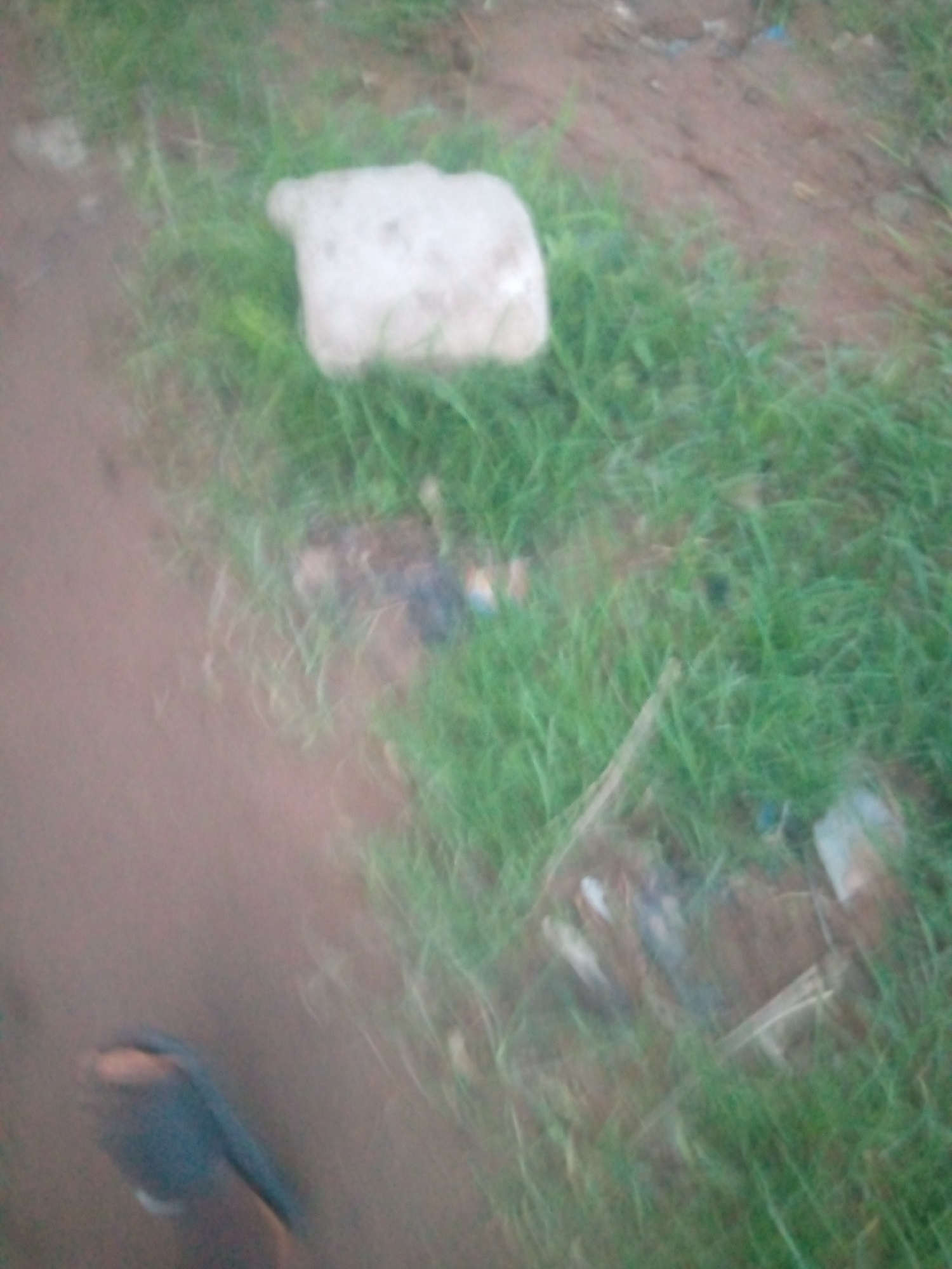 The image depicts an outdoor scene with a dirt path on the left and a grassy area on the right. A white, rectangular object, possibly a piece of discarded material or rock, lies in the grass. The ground appears to be uneven, with some loose dirt and scattered debris visible in the grassy area. The overall impression is of an unkempt, possibly rural or semi-urban environment. The image is blurry, making it difficult to discern specific details of the surroundings or identify any people or distinct objects. The location in Jalingo, Nigeria, is not visually evident from the image itself.