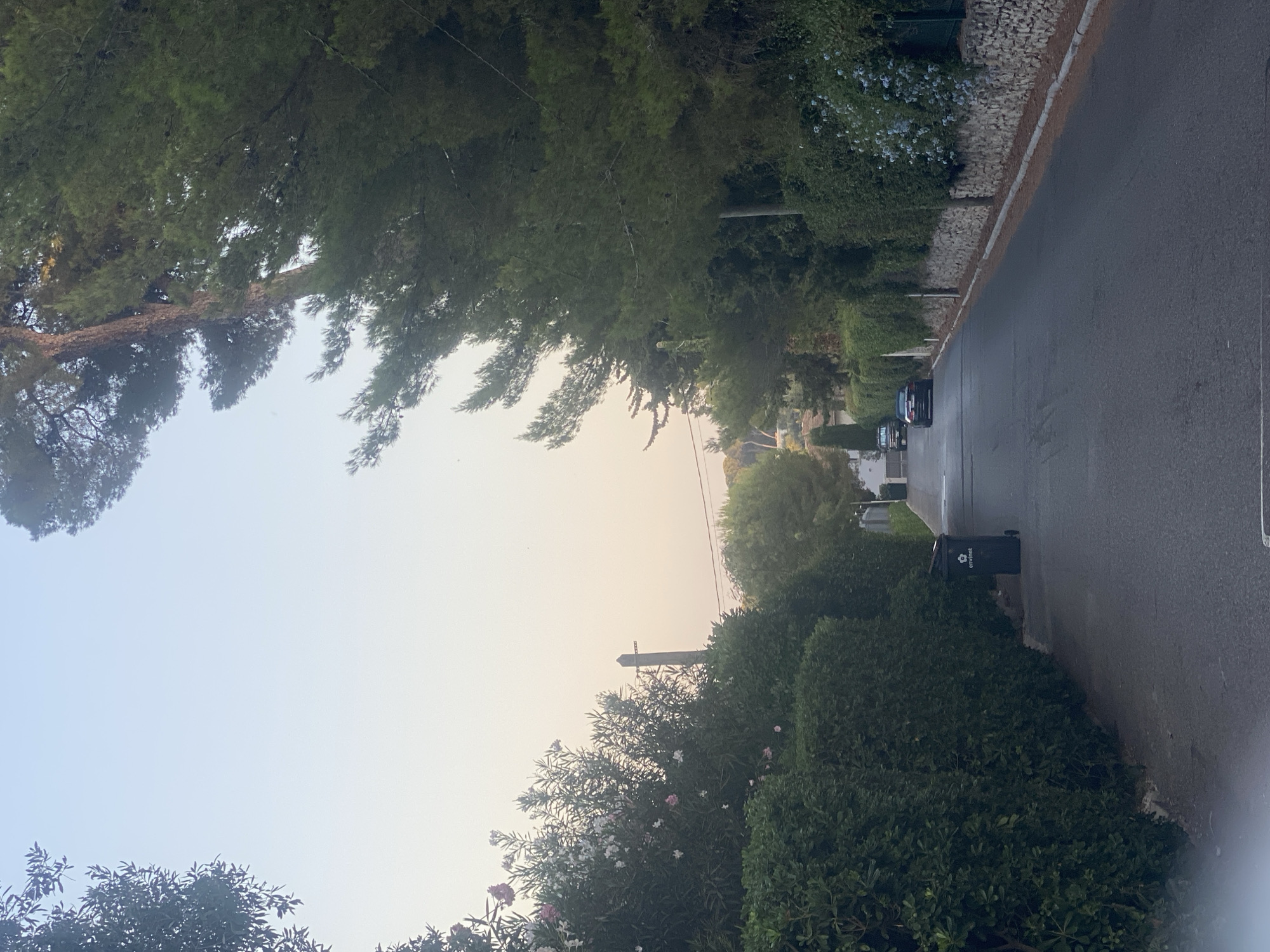 A narrow asphalt road winds uphill through a residential area in Antibes, France. Tall pine trees line the right side of the road, with dense green hedges forming the left. In the distance, two cars are parked on the side of the road. A dark grey trash bin with "envinet" printed on it sits near the curb on the left side of the road. The sky is a pale, hazy blue, suggesting it is early morning or late afternoon. The scene is quiet and appears to be uninhabited.