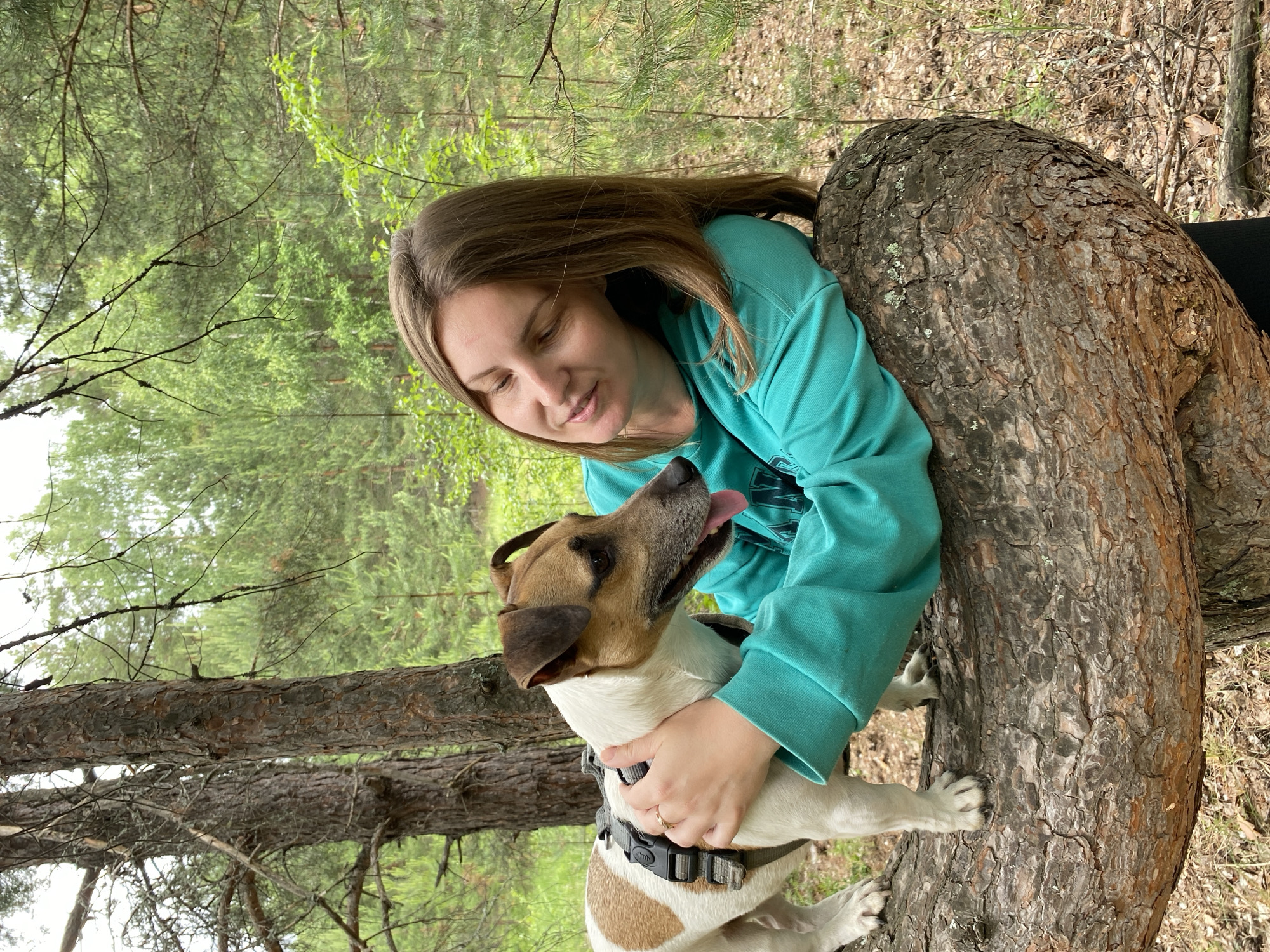 An outdoor, medium shot photograph captures a woman with long, brown hair wearing a turquoise sweatshirt and a Jack Russell Terrier. The woman is leaning on a large, fallen tree trunk covered in bark, with her right arm around the dog. The dog, white with brown markings, is standing on the same tree trunk, facing right with its tongue out. A harness is visible on the dog. The background consists of a dense forest with pine trees. The lighting suggests it is daytime. The location is the forest near Noviy, Russia.
