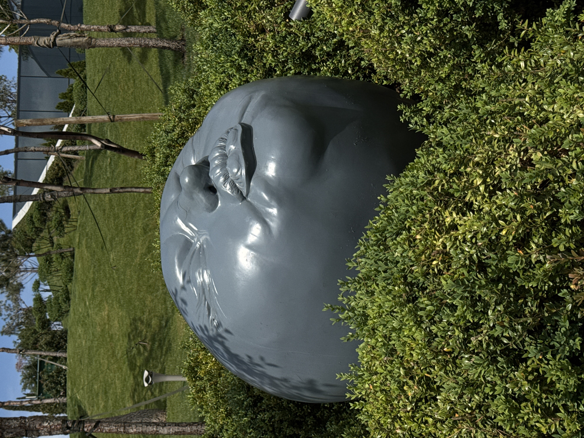 A gray sculpture of a human head rests among green bushes in a park setting. Grass, trees, and the edge of a building are visible in the background. The location is Krasnodar, Russia.