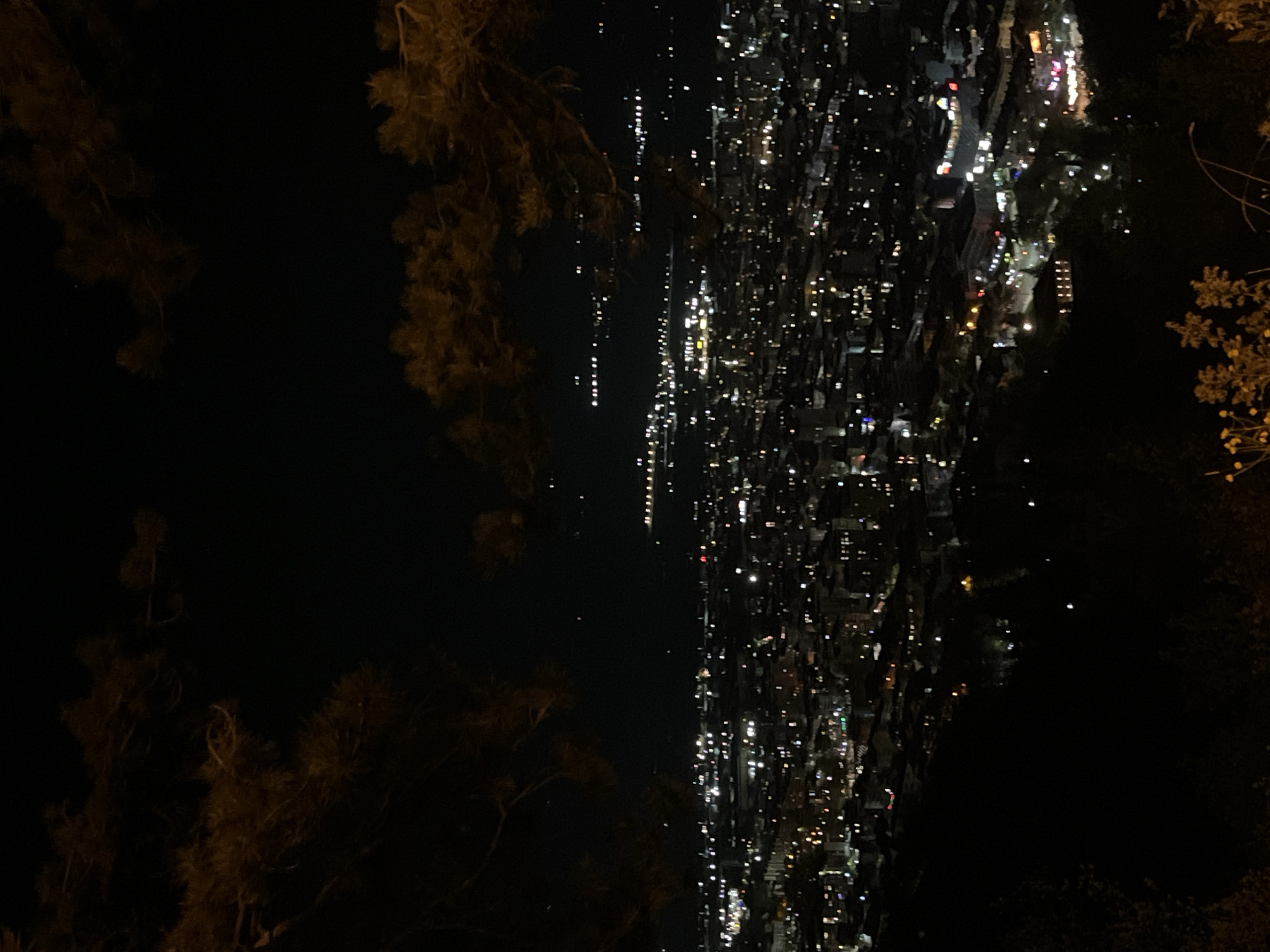 The image shows a night view of Blagoevgrad, Bulgaria, taken from an elevated vantage point through some trees. The city lights form a dense, illuminated pattern extending into the distance. The surrounding area is dark, with only the silhouetted shapes of trees visible in the foreground and on the sides. The perspective is slightly angled.