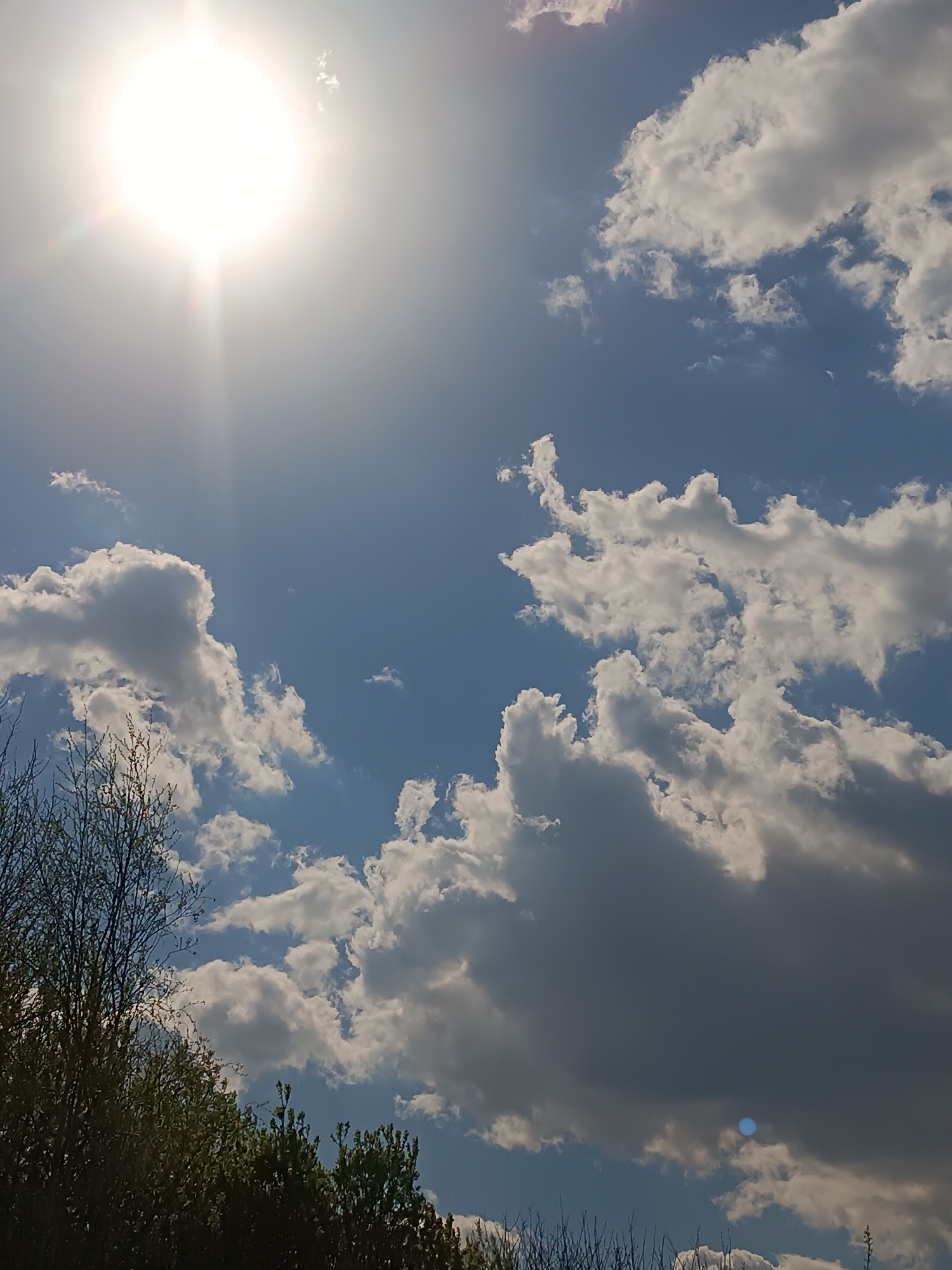The image shows a daytime sky with the sun shining brightly in the upper left. Scattered cumulus clouds are visible throughout the frame, some appearing bright white and others shaded darker. The lower left corner features foliage from trees or bushes. The location of Motyakovo, Russia cannot be determined from the image.