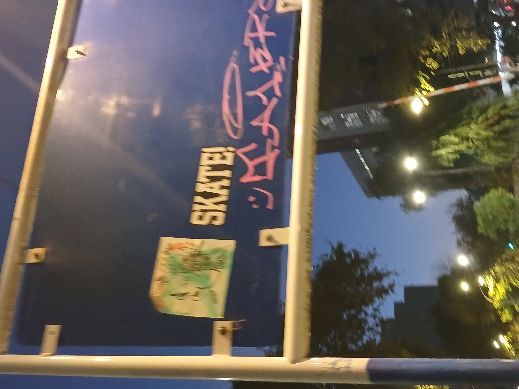 The photograph, likely taken in the city of Buenos Aires, Argentina, shows a blue metal signpost covered with graffiti and stickers. The graffiti includes the word "SKATE!" in bold, black letters, as well as other indiscernible pink markings. A sticker featuring indiscernible green and brown imagery is adhered to the lower left section of the sign. The signpost is constructed with white metal framing and is fastened together with small metal components. Through the signpost’s frame, the cityscape can be seen with building structures and street lights illuminating trees. The photograph was likely taken at dusk or at night.