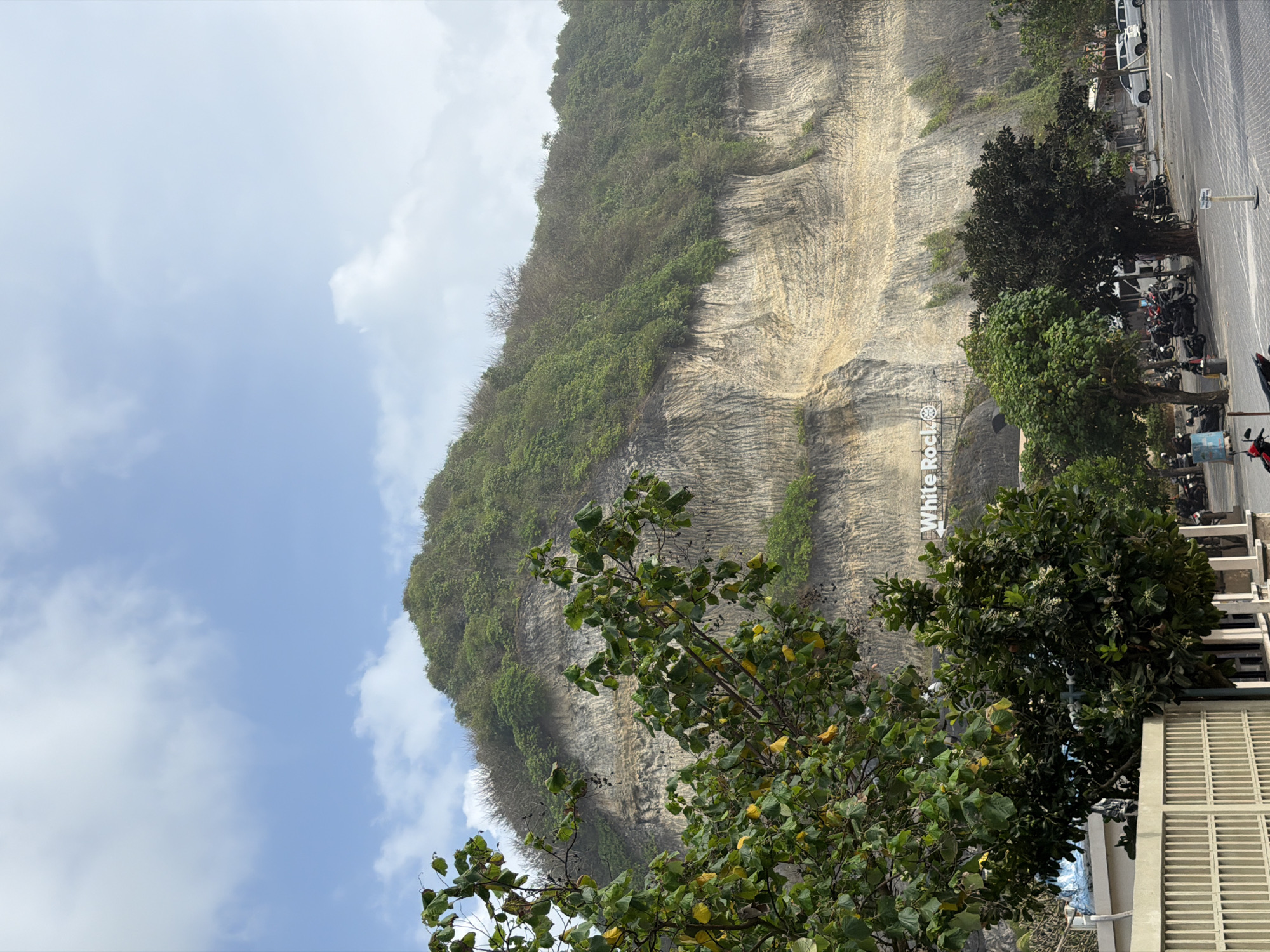 A vast, verdant cliff face dominates the background of this image, with its sheer, light-colored rock layered with striations and patches of lush green vegetation clinging to its slopes and crest. A large sign reading "White Rock" with an emblem is visible halfway up the cliff. In the foreground, a paved area resembles a parking lot with numerous motorcycles and a few cars parked. A beige, slatted fence runs along the left side of the image, partially obscuring a building with a blue roof. Several trees with full, leafy canopies are scattered throughout the scene, some bearing yellowing leaves. The sky above is a clear, pale blue, interrupted by scattered, wispy white clouds. The overall scene depicts a coastal or cliffside location, likely a tourist area, in Kuta Selatan, Indonesia.