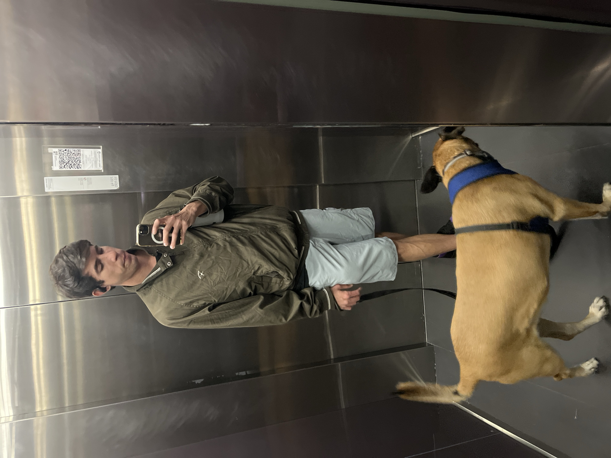 A man and a brown dog are in an elevator with stainless steel walls. The man is fair-skinned, with dark hair and is wearing a green jacket and light blue shorts. He is looking into a smartphone that he is holding up with his right hand, presumably taking a selfie. The dog is facing away from the man and towards the elevator door. It is wearing a blue harness. A QR code is visible on the left side of the elevator wall. The location is potentially Buenos Aires, Argentina.