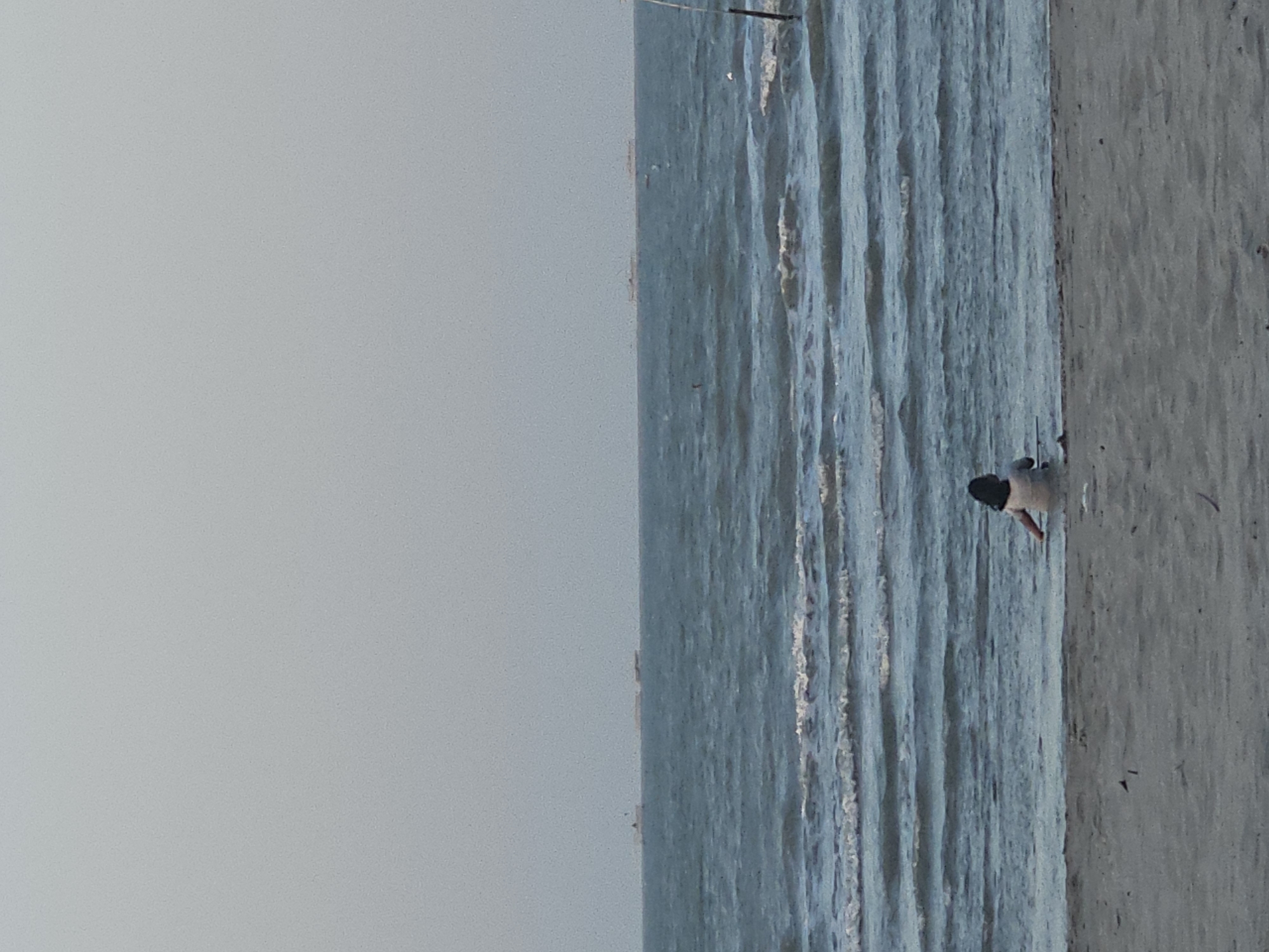 The image depicts a beach scene in Dalegan, Indonesia. In the foreground, a sandy beach is visible, with a person sitting facing the ocean. The person appears to be a child with dark hair, wearing light-colored clothing. The child is positioned near the water's edge, with their back to the camera. The ocean stretches out before them, with gentle waves lapping at the shore. In the distance, several ships are visible on the horizon. The sky is overcast, with a soft, diffused light.