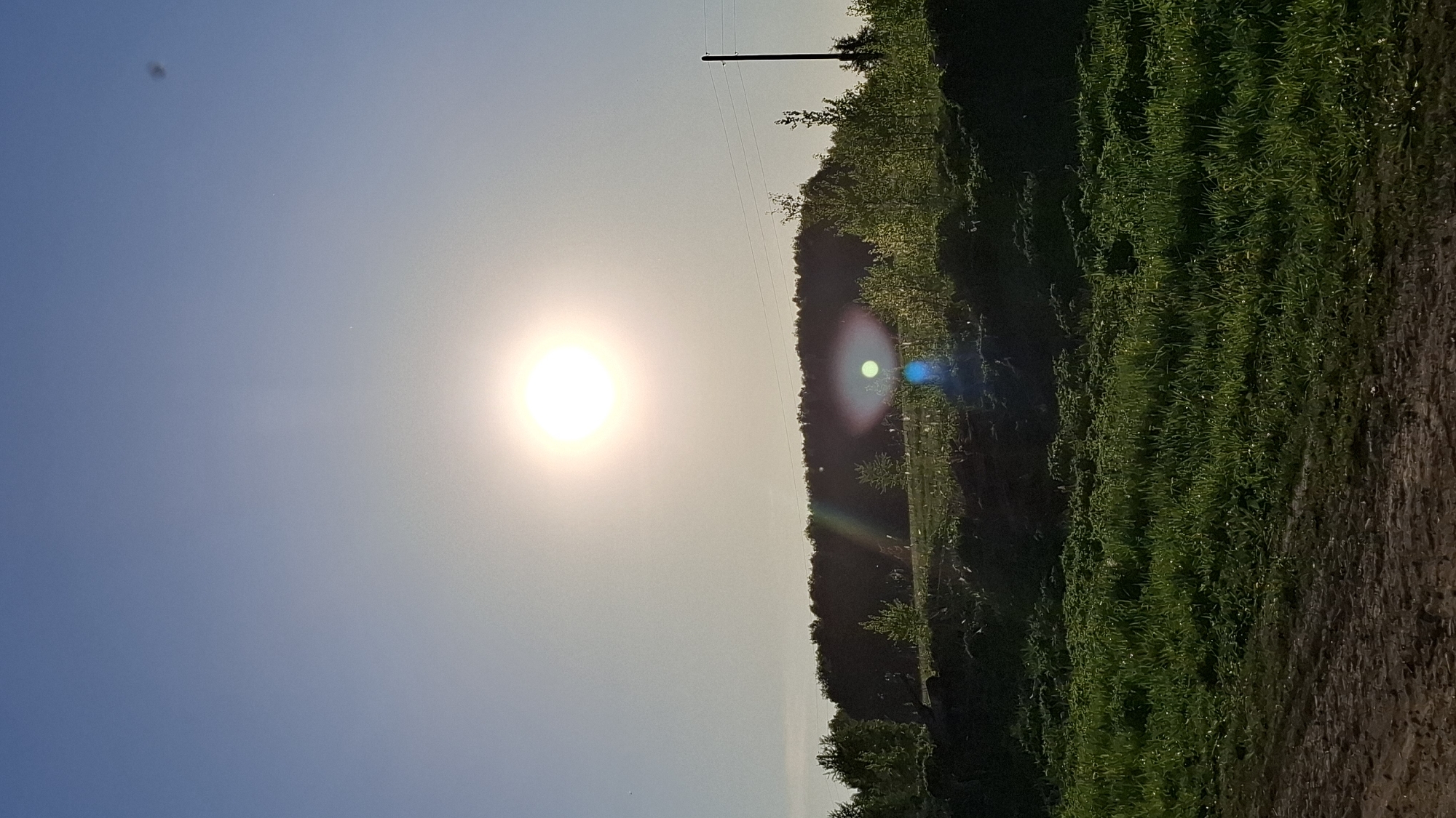 The image shows a landscape near Sheshurga, Russia, under a bright sun in a hazy sky. The sun is positioned high in the sky, casting a bright glow over the scene. Vegetation, including trees and grass, covers the ground on the right side of the image. Utility poles and wires are visible.
