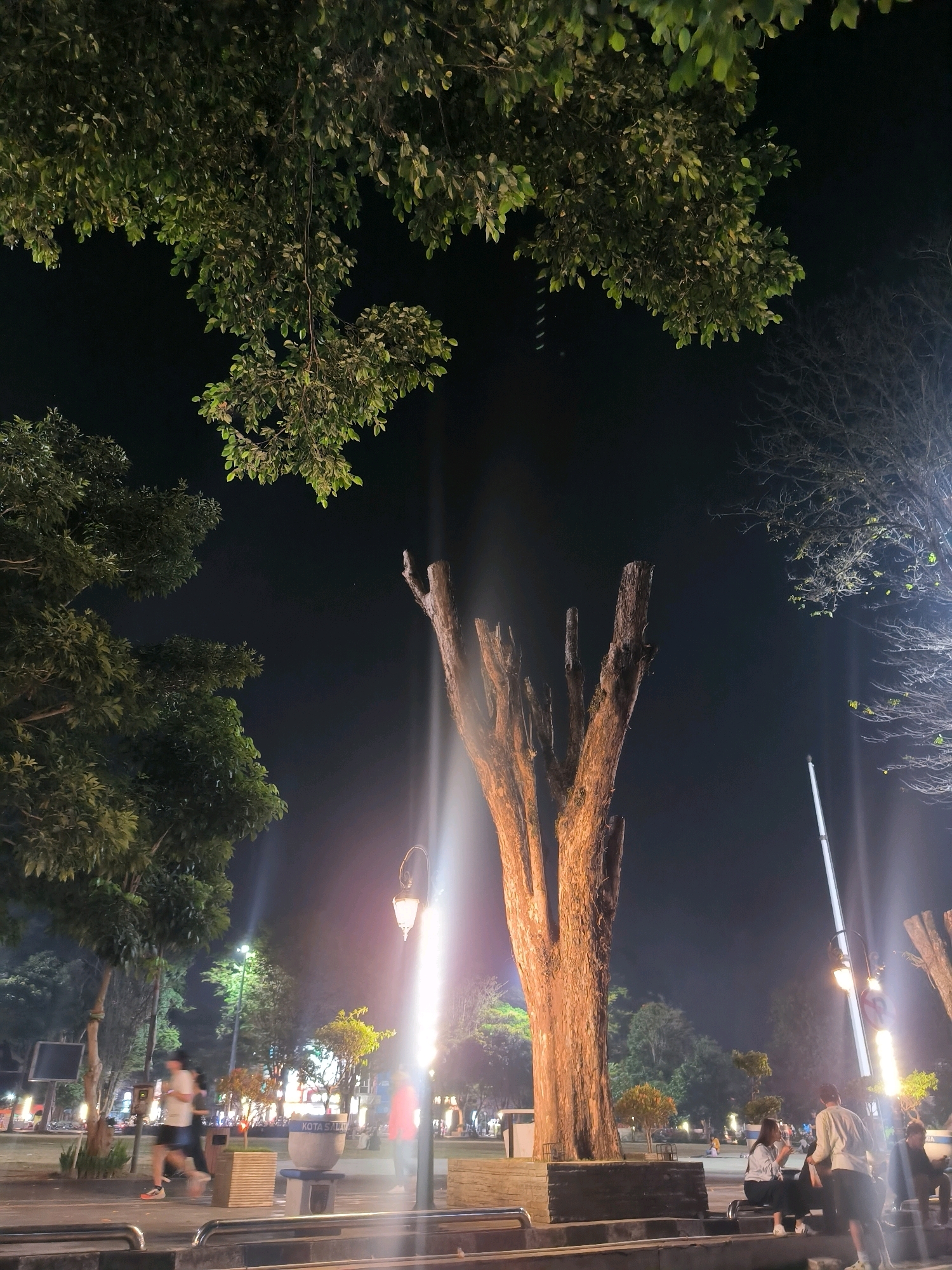 The image depicts a nighttime scene in a public park, specifically identified by the inscription "KOTA SALATIGA" on a concrete planter in the foreground. The park is illuminated by streetlights, casting a warm glow on the surroundings. In the center of the frame, a large, bare tree trunk stands prominently, its weathered texture visible under the artificial light. Surrounding it are various trees, some with dense foliage and others with sparser branches, silhouetted against the dark sky.
Several individuals are present in the park. Two people are jogging on a paved path in the middle ground, while others are seated on benches or standing in small groups. One group appears to be engaged in conversation, while another person is walking in the background. The overall atmosphere suggests a lively, yet relaxed, evening in the city. The presence of the "KOTA SALATIGA" marker clearly indicates the location as Salatiga, Indonesia.
