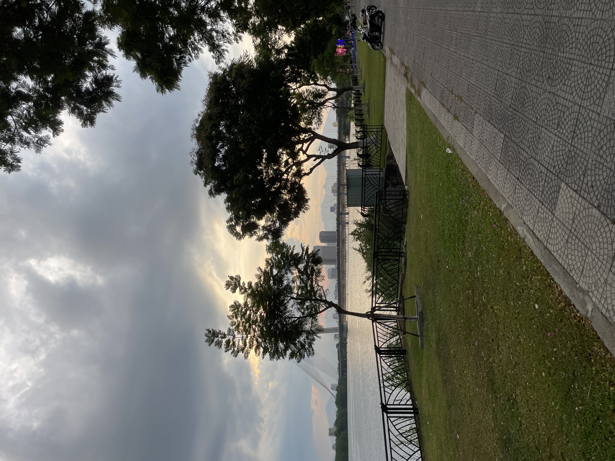 The image depicts a waterside park in Da Nang, Vietnam, likely during the late afternoon or early evening as indicated by the soft, diffused sunlight breaking through overcast skies. The scene is oriented vertically, with the sky occupying the left half and the ground, water, and urban landscape on the right.
Silhouetted against the sky are the branches and foliage of several large trees. In the foreground, a paved walkway with a distinctive circular tile pattern runs along the right side of the frame. Adjacent to the walkway is a neatly mowed grassy area, bordered by a decorative black metal fence. Beyond the fence, a wide body of water, likely a river or bay, stretches towards the horizon.
Across the water, the cityscape of Da Nang is visible, with several modern buildings and a prominent cable-stayed bridge spanning the waterway. The bridge's structure is partially obscured by the atmospheric haze and the distance. The setting suggests a public space designed for relaxation and enjoying the waterfront.
No people are clearly visible, although the presence of parked motorcycles on the walkway implies recent or ongoing human activity. The overall mood is tranquil, with the muted colors and diffused light creating a serene ambiance. The weather appears to be cloudy, but with moments of sunlight that illuminate parts of the sky with warm hues.