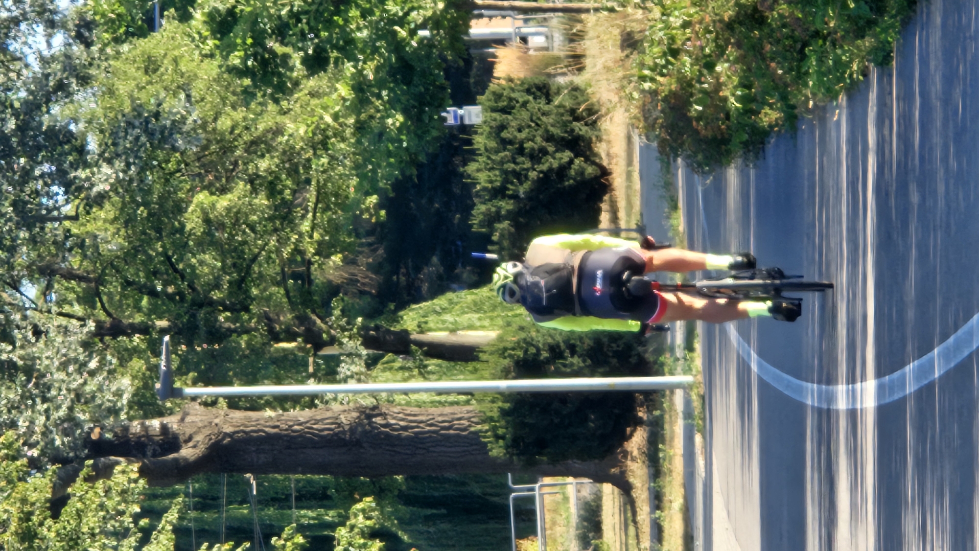A lone cyclist rides away from the camera on a paved path lined with white markings. The cyclist wears a yellow and black cycling jersey, black cycling shorts with red trim, a black helmet, and lime green socks. A small black backpack is attached to the cyclist's back. The cyclist is positioned on the right side of the path, which appears to be a dedicated cycling or walking lane. The path is surrounded by lush green trees and vegetation. In the background, a tall, weathered tree trunk stands prominently on the left side, with a lamppost situated in front of it. Further back, dense green bushes and tall dry grasses are visible. The scene suggests a sunny day, with shadows cast on the path from the surrounding foliage. The location is identified as Prešov, Slovakia.