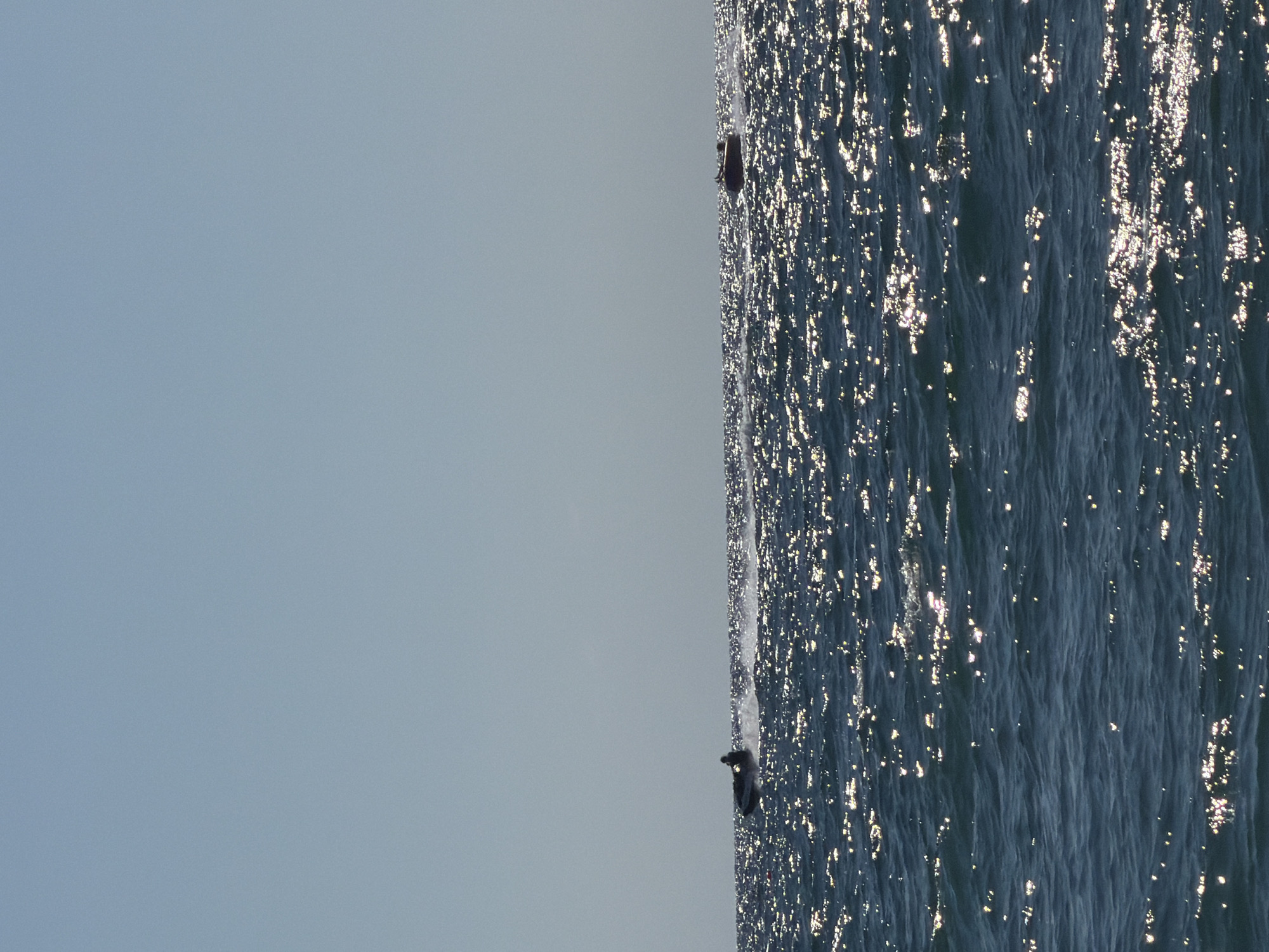 The image captures a sunlit scene on the dark blue waters of Sochi, Russia, under a clear, pale blue sky. Two jet skis are visible in the distance, each leaving a white wake behind them. The surface of the water is textured with numerous bright, shimmering highlights, indicative of sunlight reflecting off the ripples. The left jet ski appears to have a single rider, silhouetted against the water. The right jet ski is also distant and silhouetted. The horizon line is clearly defined between the water and the sky.