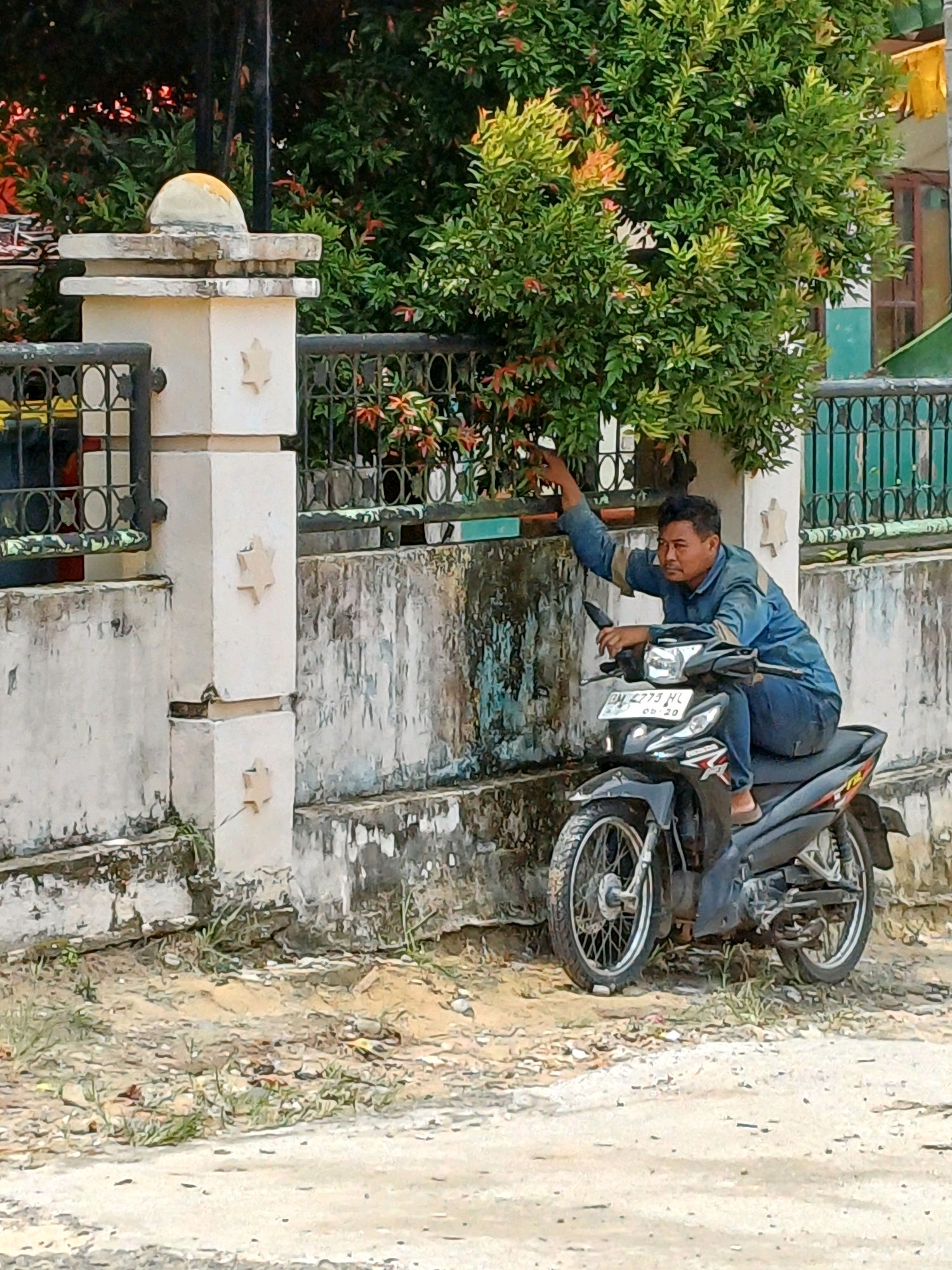 A medium-shot captures a man wearing a blue long-sleeved shirt and blue pants, sitting on a black motorcycle. He is positioned on the right side of the frame, leaning forward with his right hand reaching towards a tree with green and red leaves. The motorcycle is parked on a dirt and gravel surface in front of a weathered, light-colored concrete wall. Behind the wall, a black metal fence with a decorative pattern separates the foreground from a lush green tree with reddish accents. The man's motorcycle has a license plate that reads "BM 2773 HL" and the date "05-20". To the left of the man, a stone pillar with decorative star shapes is visible, topped with a curved, weathered object. The overall scene suggests an outdoor setting, possibly in a residential area of Dumai City, Indonesia, with a casual, everyday atmosphere.