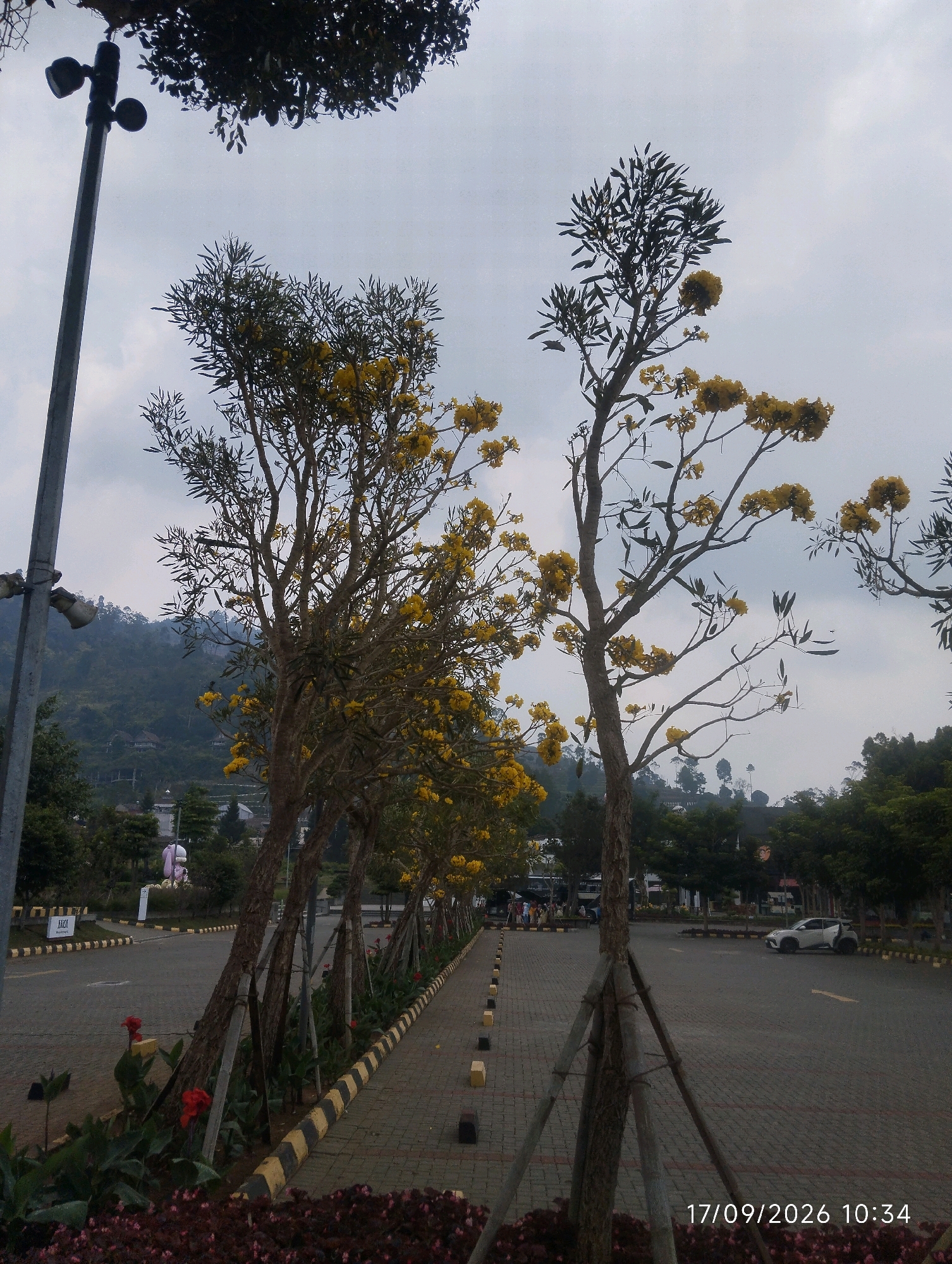 In Cibogo, Indonesia, a street scene unfolds under a cloudy sky. The foreground is dominated by a paved walkway lined with trees bearing yellow flowers and supported by wooden braces. Red flowers are visible at the base of some trees. A tall street lamp stands to the left. Beyond the walkway, a parking lot is occupied by a white car and several people walking in the distance. Further back, a hill covered in greenery and dotted with buildings rises under the overcast sky. The image is time-stamped with "17/09/2026 10:34".