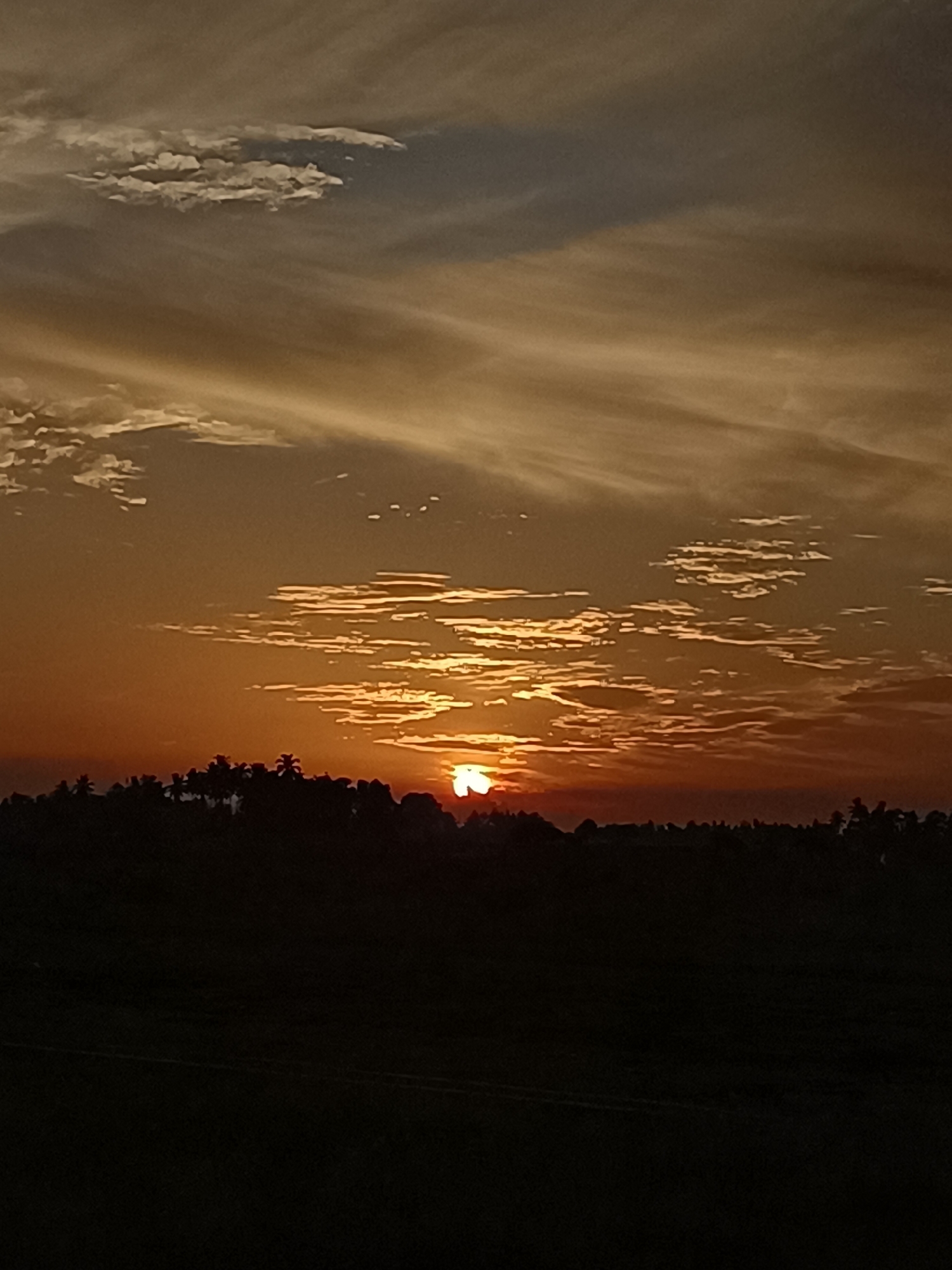 A serene sunset scene unfolds over the rural landscape of Meunasah Pupu, Indonesia. The sky is a canvas of warm hues, ranging from deep orange near the horizon to softer yellows and grays higher up, streaked with wispy clouds. The sun, a brilliant orb, is just touching the silhouette of a treeline, casting a warm glow. The treeline itself is dark and indistinct, dotted with the spiky shapes of palm trees. Below the treeline, the ground is a deep shadow, with subtle textures suggesting uneven terrain. There are no people or animals visible in the image, only the quiet beauty of nature at dusk.