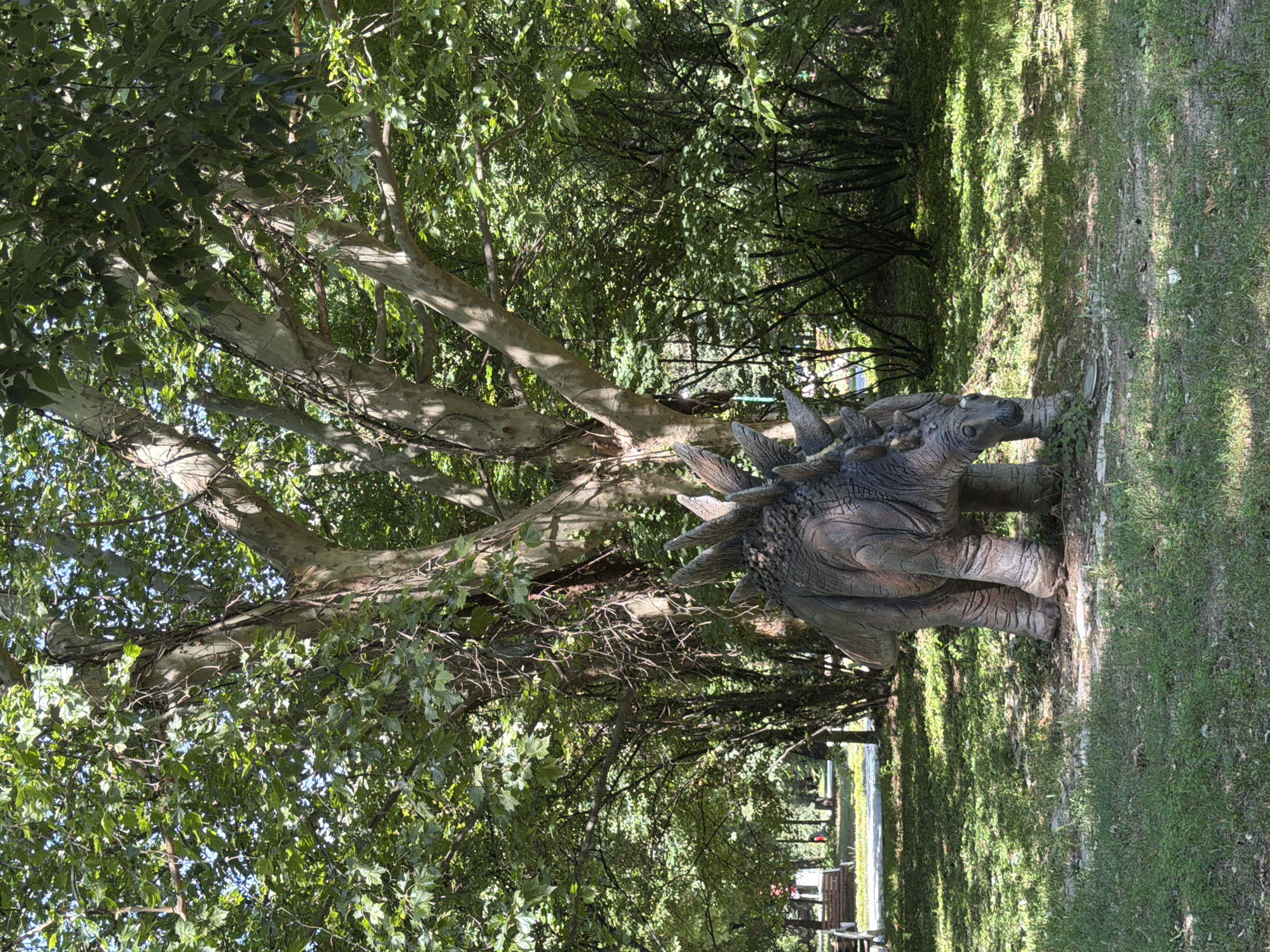 A life-sized dinosaur statue, likely a Stegosaurus due to its prominent dorsal plates and spiked tail, is positioned on a grassy area in a park. The statue is detailed and appears weathered, with a gray and brown textured finish. It is situated beneath the canopy of a large tree with a thick, gnarled trunk and sprawling branches. The park features benches and paved pathways visible in the background, suggesting a public recreational space. The environment is lush and green, with dense foliage from trees and bushes creating a shaded atmosphere. Sunlight filters through the leaves, casting dappled shadows on the ground. This scene is located in the City Park of Pazardzhik, Bulgaria, a popular spot for families and outdoor activities. No people are present in the immediate vicinity of the statue.