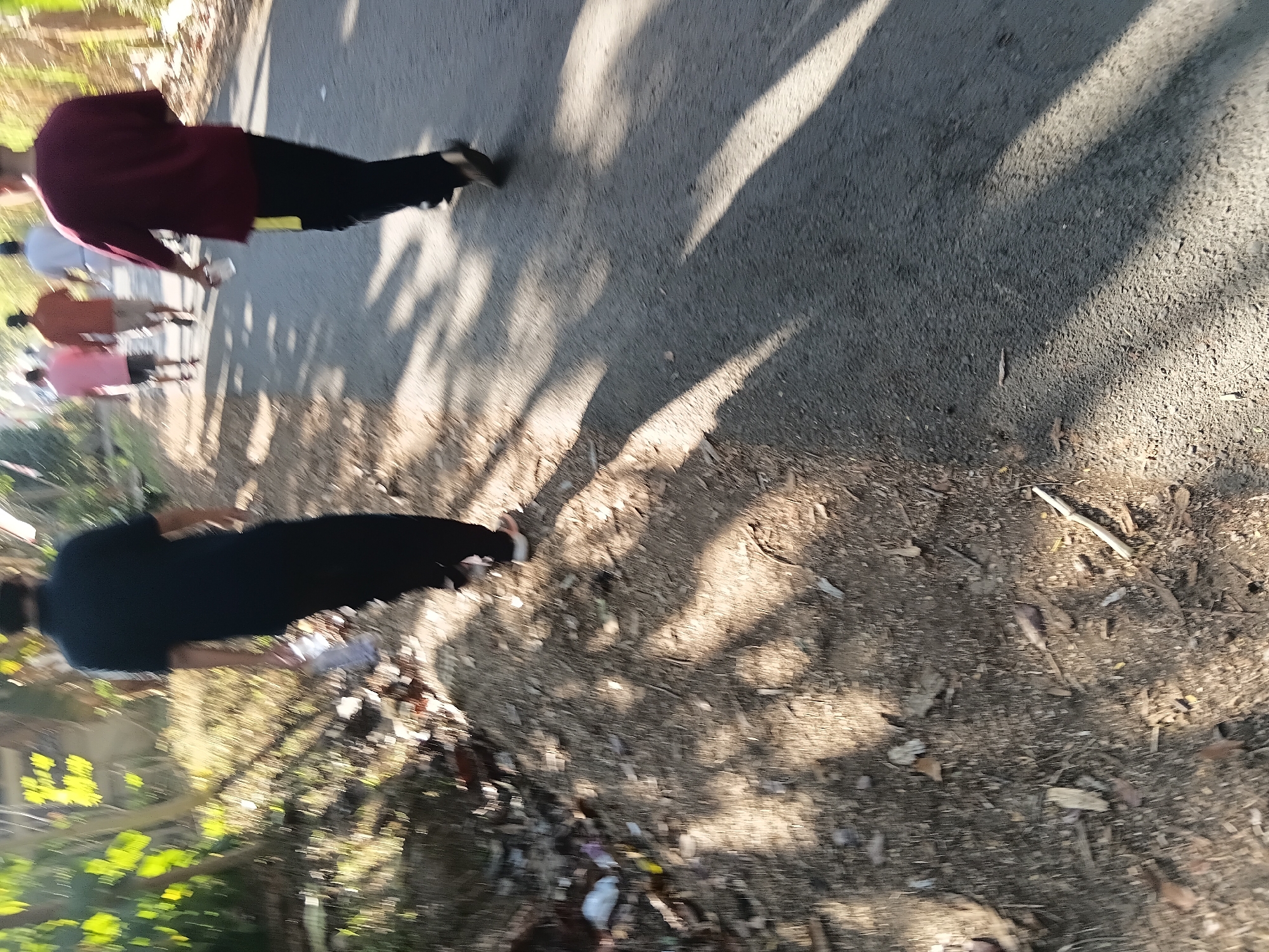 In Tanggul Wetan, Indonesia, several individuals are engaged in a walk along a paved road lined with vegetation. The image captures the scene from a slightly elevated perspective, looking down at the road and its surroundings. The sunlight casts long shadows across the asphalt, indicating it is likely morning or late afternoon.
On the left side of the road, a person in a dark shirt and black pants walks away from the camera, holding a clear plastic bottle in their left hand. Their gait is blurred, suggesting movement. Adjacent to the road, the ground is covered with dirt, dried leaves, and some debris, including white and colored plastic wrappers.
Further down the road, a group of four individuals is visible. The person closest to the camera in this group is wearing a maroon shirt and black pants with a yellow stripe down the side. They are also holding a clear plastic bottle and walking in the same direction as the first person. Behind them, three other individuals are walking. The one directly behind them is wearing a white t-shirt and dark pants. The next person is wearing an orange shirt and light-colored shorts, and the furthest person in this group is wearing a pink shirt and dark shorts. Their movements are also blurred, indicating they are in motion.
The environment is characterized by lush green foliage on the left side, with trees and plants creating a natural border. The road itself appears to be a typical asphalt surface, with some texture and small stones visible. The overall impression is one of a casual outdoor activity taking place in a semi-rural or suburban setting.