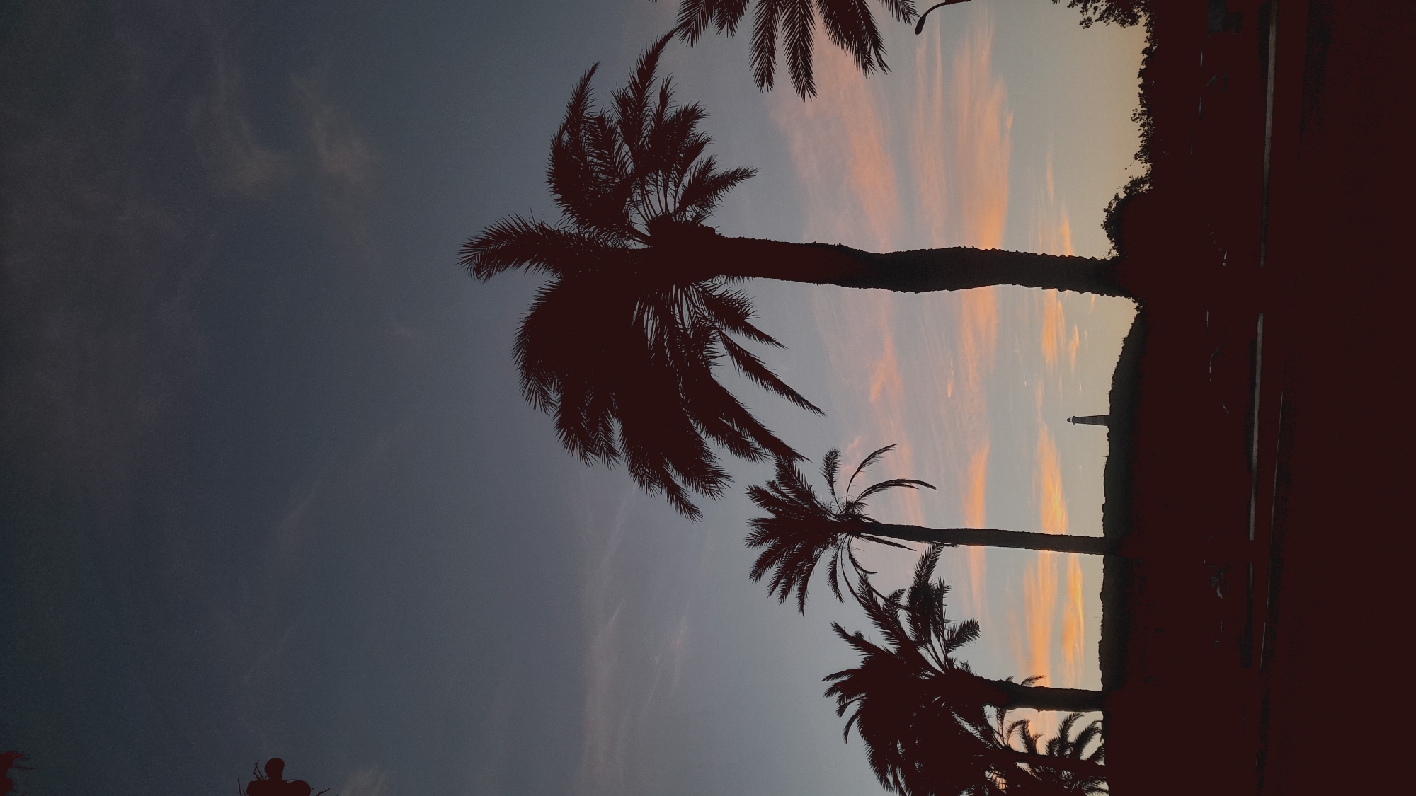The image is a silhouetted view of palm trees against a twilight sky. In the distance, atop a hill, a lighthouse is visible. The foreground shows a dark silhouette of vegetation and possibly a road or pathway. The sky is a gradient of dark blue at the top, transitioning to lighter blues and streaks of orange and pink near the horizon, indicating sunset or sunrise. The palm trees are varied in height and density, with their fronds clearly defined against the sky. The overall scene evokes a tropical or coastal ambiance. The location in the city of Pedro González, Venezuela, would suggest this is a coastal scene, possibly along the Caribbean coast.