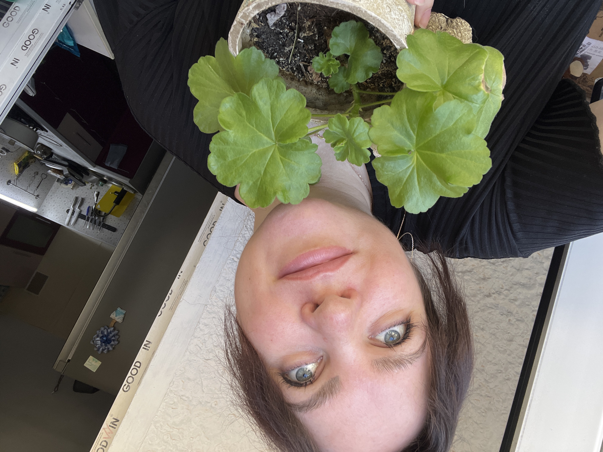 A person is holding a potted plant in front of their face. The person has light skin, light eyes, and dark hair. They are wearing a black shirt. The plant has green leaves. The background includes a window frame labeled "GOOD IN" and a kitchen with a refrigerator. The location is in Noviy, Russia.
