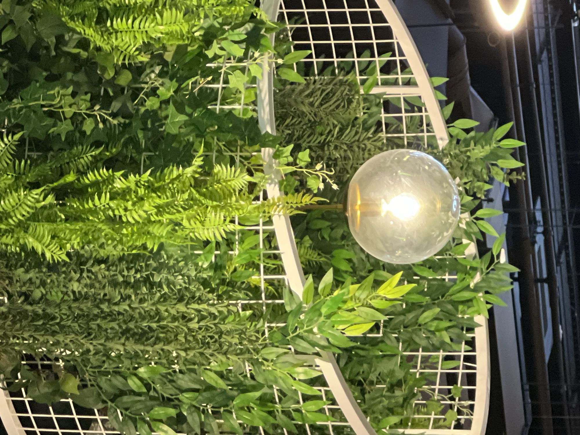 The image shows an indoor scene with artificial plants hanging from a white lattice structure. A clear glass pendant light with a visible filament bulb hangs from the center of the structure. The plants are a mix of ferns and leafy vines, creating a lush, green canopy. The background is dark, with some horizontal lines suggesting a ceiling or upper structure. There are no people visible in the image. The location is described as Ladozhskoe Ozero, Russia, but this specific detail cannot be verified from the visual content of the image alone.