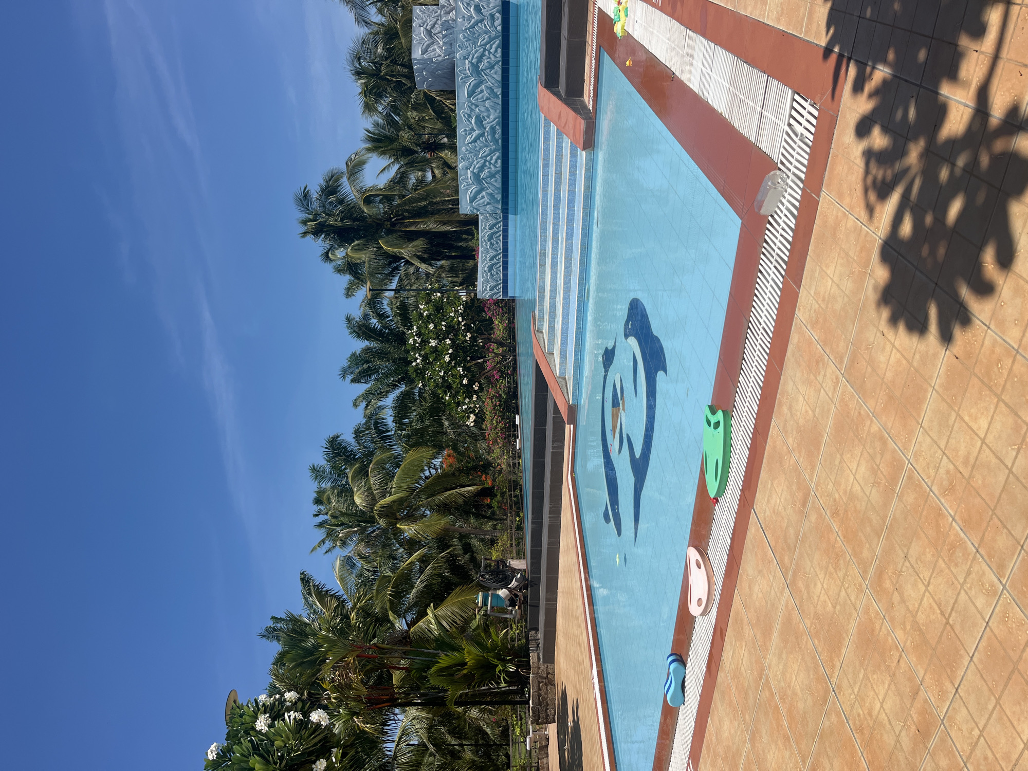 The image depicts a clear blue sky above a resort swimming pool in Phu Thuy Ward, Vietnam. The pool is filled with bright blue water and features a mosaic design of dolphins at the bottom. Several steps lead into the deeper section of the pool, which is adorned with a decorative water feature. The poolside is tiled with terracotta-colored squares, and a red tile border encircles the pool. Three swim aids – a blue kickboard, a pink kickboard, and a green kickboard – are placed on the pool's edge. Lush green palm trees and other tropical foliage surround the pool area, creating a vibrant, vacation-like atmosphere. In the background, a stone wall with carved leaf patterns forms part of the pool's landscaping. The overall scene is one of a sunny day at a well-maintained outdoor pool.