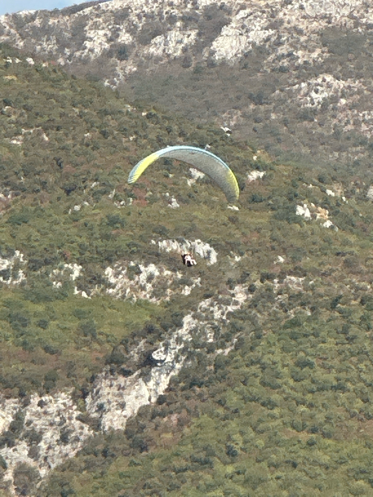 A paraglider is captured mid-flight against a backdrop of a sparsely vegetated mountain slope. The paraglider, predominantly yellow and blue, is seen soaring horizontally across the frame. Below the paraglider, a lone individual, wearing dark clothing and a helmet, is suspended beneath the canopy, seemingly in a seated position. The mountain itself is characterized by a rugged, rocky terrain interspersed with patches of green foliage, indicative of a Mediterranean climate. The overall scene conveys a sense of adventure and natural beauty, likely within the mountainous region surrounding Boreti, Montenegro, known for its paragliding opportunities.