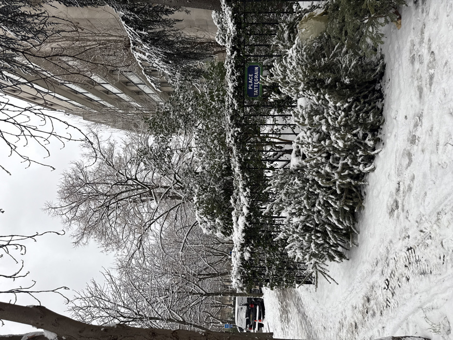 The image displays a snow-covered urban landscape identified as Place Tattegrain in Paris, France, under an overcast sky. The ground, including a visible sidewalk on the left, is blanketed in snow, showing indistinct footprints and tire tracks. In the immediate foreground, a cluster of low evergreen shrubs is heavily dusted with snow. Behind these, a dark metal fence supports a blue and green street sign prominently displaying "PLACE TATTEGRAIN." Beyond the fence, a dense, snow-covered evergreen hedge stretches across the midground. To the left, a dark-colored SUV or minivan, partially obscured and bearing a layer of snow, is parked adjacent to a small orange traffic cone. Bare deciduous trees, their branches laden with snow, line the street or park area in the background. To the right, a multi-story building with light-colored facades and balconies rises, partially visible through the snow-covered foliage. No individuals are present, and no actions or interactions are depicted.