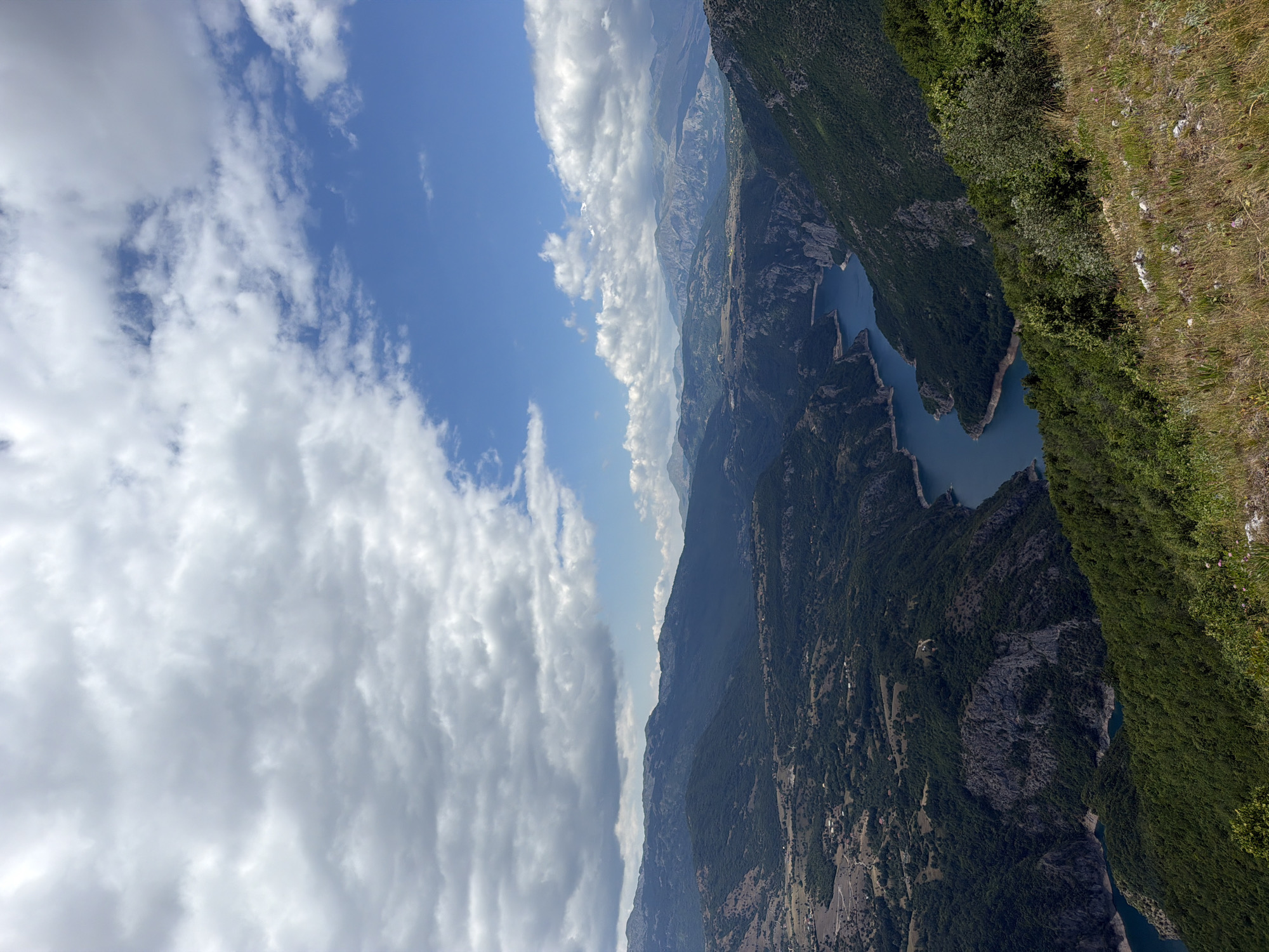 A high-angle, vertical, wide shot captures a winding, vibrant blue river snaking through a deep, verdant canyon under a dramatic sky filled with white and gray clouds. The canyon walls are steep and covered in dense, dark green foliage, with rocky outcrops and patches of lighter, arid terrain visible on the slopes. In the distance, rolling hills and majestic, layered mountains fade into a hazy, blue-gray horizon. The foreground features a grassy, sun-drenched slope dotted with dry vegetation and a few small, pink wildflowers. The scene depicts a natural landscape, likely a wilderness area, with no visible human presence or structures. The location is identified as the Piva Canyon near Dubljevići, Montenegro.