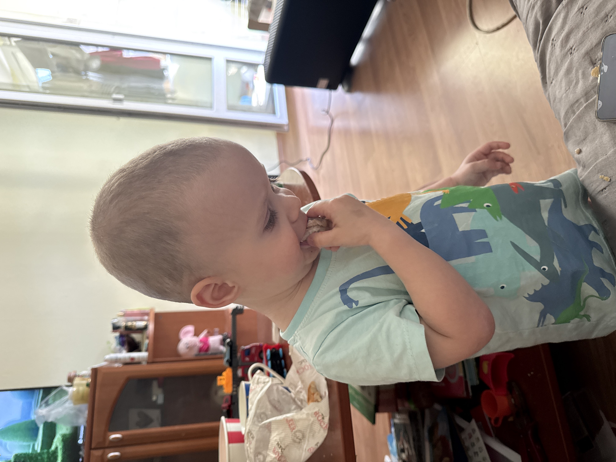 The image captures a candid moment of a young child, likely a toddler or preschooler, eating a snack indoors. The child, with light, short hair and light skin, is seen in profile, focused on biting into a light-colored, crumbly food item, possibly a cracker or biscuit, held in both hands. They are wearing a light blue t-shirt adorned with a vibrant blue and green dinosaur pattern.
The setting appears to be a cozy home environment, likely in Sofia, Bulgaria, characterized by warm light wooden flooring. In the background, a window with white frames provides natural light and reflects elements of the outside world, including a red car and what look like light blue objects, possibly surgical masks. A dark, possibly electric, heater or speaker is also visible near the window.
To the child's left, in the corrected orientation of the image, a wooden cabinet with glass doors holds various items, while a pink plush toy sits on top. A partially visible television screen, showing a green image, is also present. On the right, the child appears to be resting against a grey, subtly patterned fabric, possibly a blanket or pillow. Crumbs are visible on this fabric, suggesting a messy snack time. A smartphone is also resting nearby. A white paper bag with the partial text "COOL" visible on it is next to the child's arm.
The overall impression is one of a relaxed, everyday scene, with the child engrossed in their snack. The natural lighting suggests it is daytime.