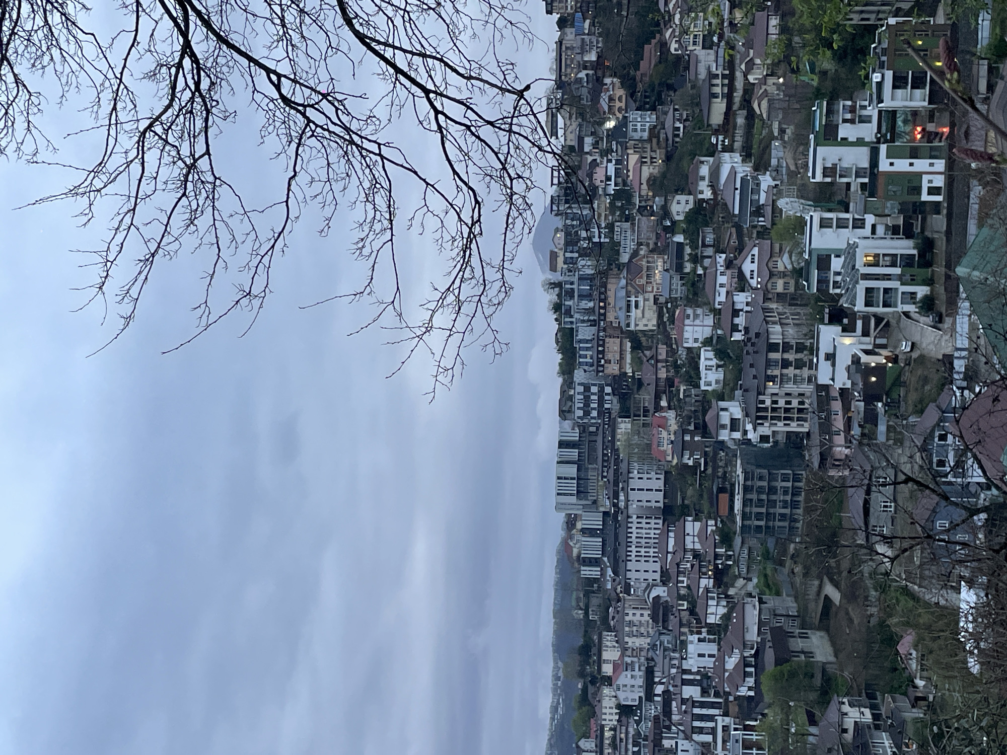 Overlooking a hillside cityscape with a cloudy sky, bare tree branches appear in the upper left corner. The densely packed buildings exhibit diverse architectural styles, with white and gray tones dominating the facades. The hillside is partially visible with some green vegetation. The city appears to be Sochi, Russia.