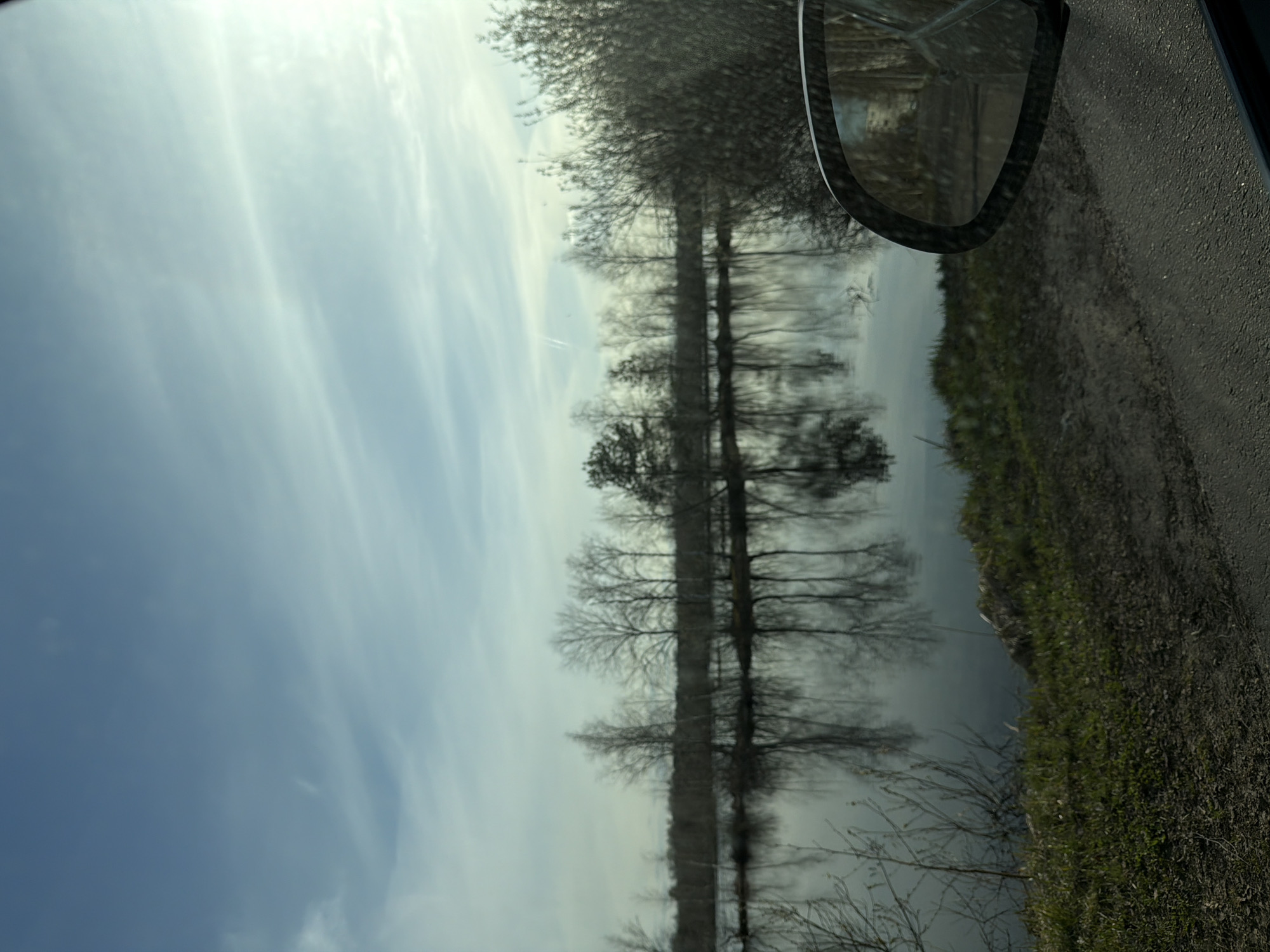 The image depicts a view from a vehicle, likely a car, with a side mirror visible in the upper right corner. The landscape seen through the window appears to be a rural area, possibly alongside a body of water. Bare trees line the water's edge, their reflections visible on the water's surface. The sky is cloudy and bright. A road and grassy verge are present on the right side of the frame. The location is suspected to be near имени Воровского, Russia based on similar landscape imagery.