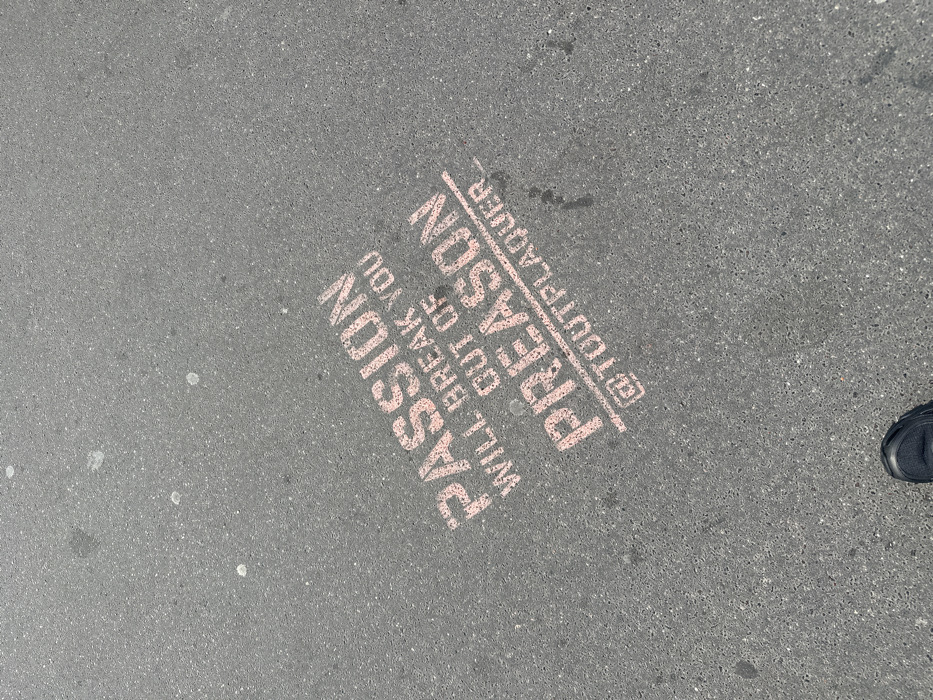 The scene depicts a portion of dark gray asphalt ground in the city of Paris, France. Stenciled onto the surface in faded light pink paint is a multi-line message. The text reads: "PASSION" in large, bold capital letters, followed by "WILL BREAK YOU OUT OF" in smaller capital letters, and then "PREASON" in large, bold capital letters, which is partially underlined. Below this, "@TOUTPLAQUER" is written in smaller, underlined capital letters. The asphalt surface exhibits minor wear, small aggregate, and scattered faint white marks and dark specks. A section of a dark-colored shoe, specifically the toe and part of the upper, is visible in the bottom-left corner of the frame, positioned on the asphalt. No other individuals, actions, or specific interactions are discernible.