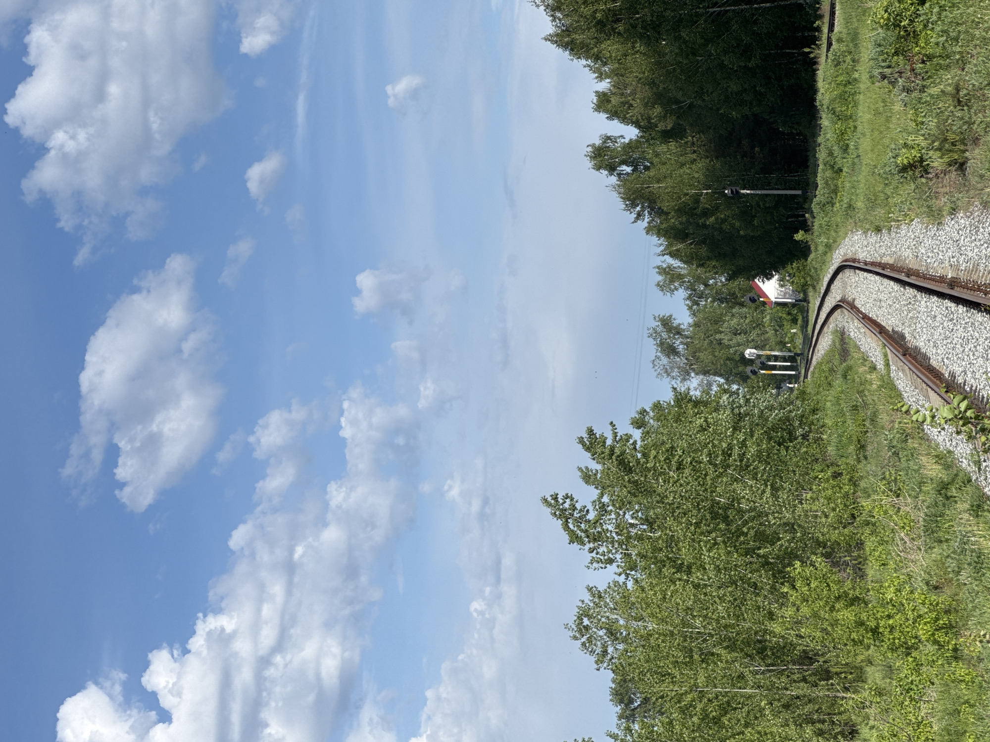 The image depicts a section of railway track curving through a green landscape under a partly cloudy sky. The tracks are laid on a bed of gray gravel. Lush green vegetation and trees border the railway. A red and white railway signal is visible amidst the trees. The location is likely Chaikovsky, Russia. No people are visible in the image.