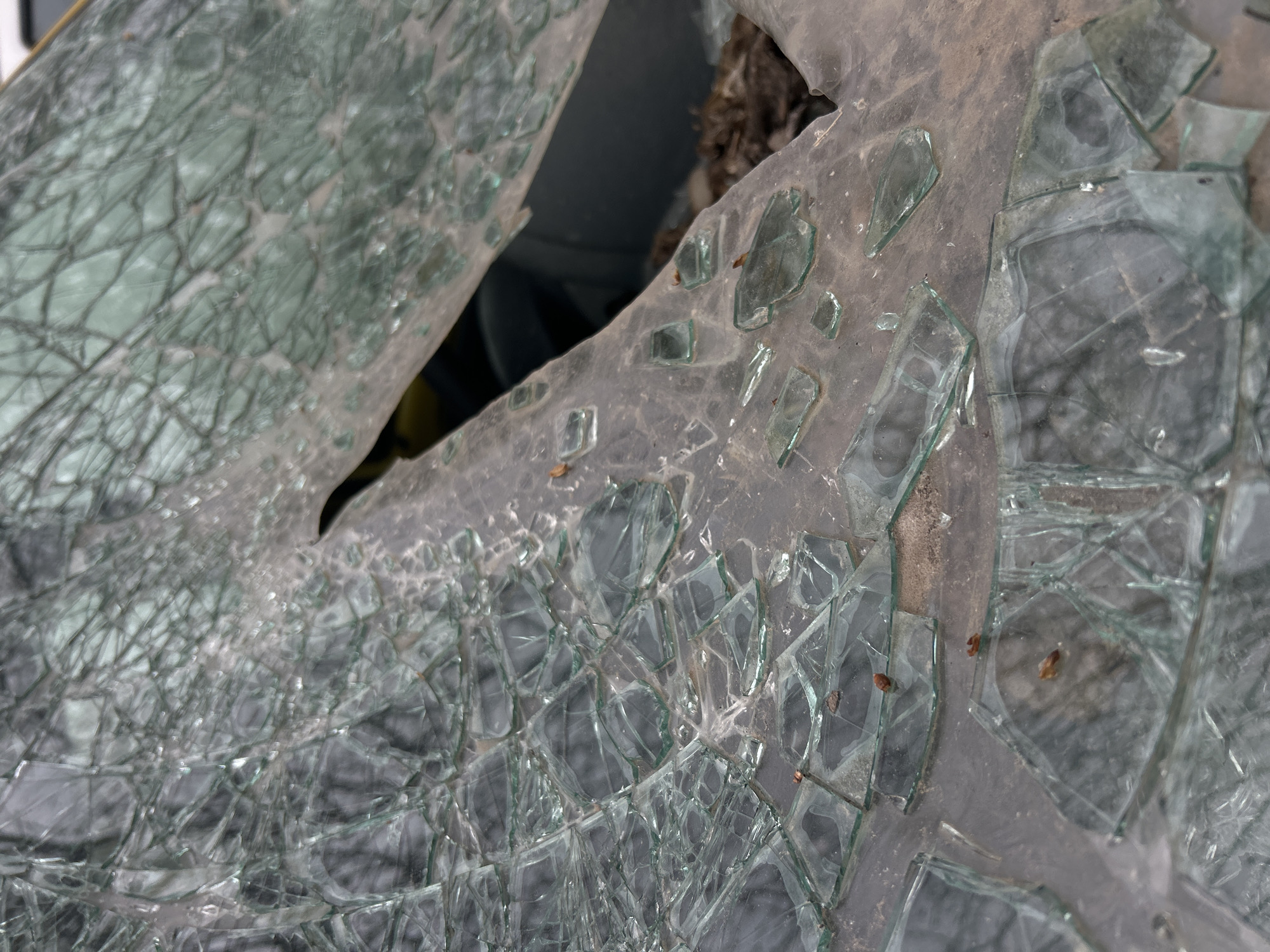 This close-up shot captures shattered safety glass, likely from a window or windshield, in Plovdiv, Bulgaria. The main subject is the intricate pattern of broken glass, which has fractured into countless small, irregular pieces characteristic of tempered glass. A large, jagged hole is visible on the left side, where a significant portion of the glass is missing, revealing a dark, indistinct interior space behind it.
The glass fragments are held within what appears to be a greyish, perhaps dirty or weathered, frame or surface. Some of the larger fragments are still partially embedded, while others are loose, creating a textured, uneven surface. The fragments themselves vary in size and shape, with light reflecting off their edges and surfaces, highlighting their translucent quality and green tint. Small specks of brown debris, possibly dirt or dried leaves, are scattered among the glass pieces, particularly visible in the crops. The background seen through the glass is blurred and appears to be a mix of light and shadow, indicating an outdoor or indirectly lit environment. There are no people or visible text in the image. The scene suggests an event of breakage or damage, possibly an accident or vandalism, leaving behind a stark visual representation of fragmented material.