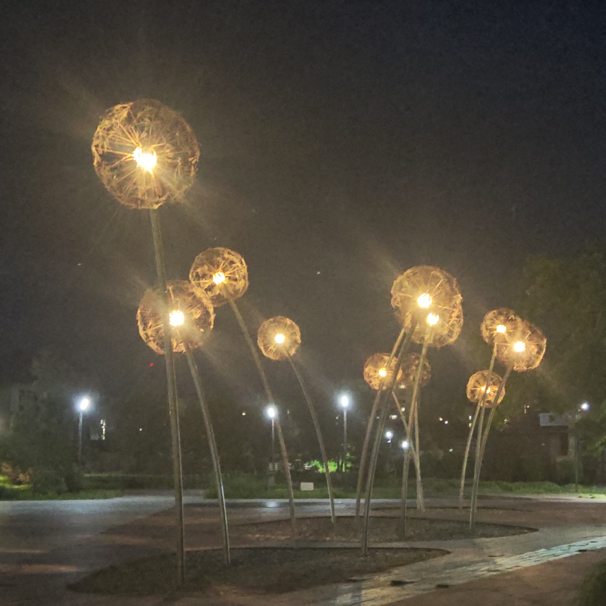 The image shows a cluster of dandelion-like light sculptures in an outdoor public space at night in городское поселение Щелкино, Ukraine. Each sculpture features a spherical, textured head with a bright central light, resembling glowing dandelion seed heads. These are mounted on tall, slender stems, creating a whimsical art installation. The warm, golden lights emit a starburst effect against the dark night sky. The immediate ground area around the sculptures is dark, appearing to be paved or graveled, with a distinct curved pathway or border. In the background, dark trees and foliage are visible, interspersed with several bright, white streetlights. The scene is illuminated by the artificial lights, suggesting a clear night. No people or specific activities are depicted. The overall impression is one of peaceful nocturnal illumination. No text is visible.