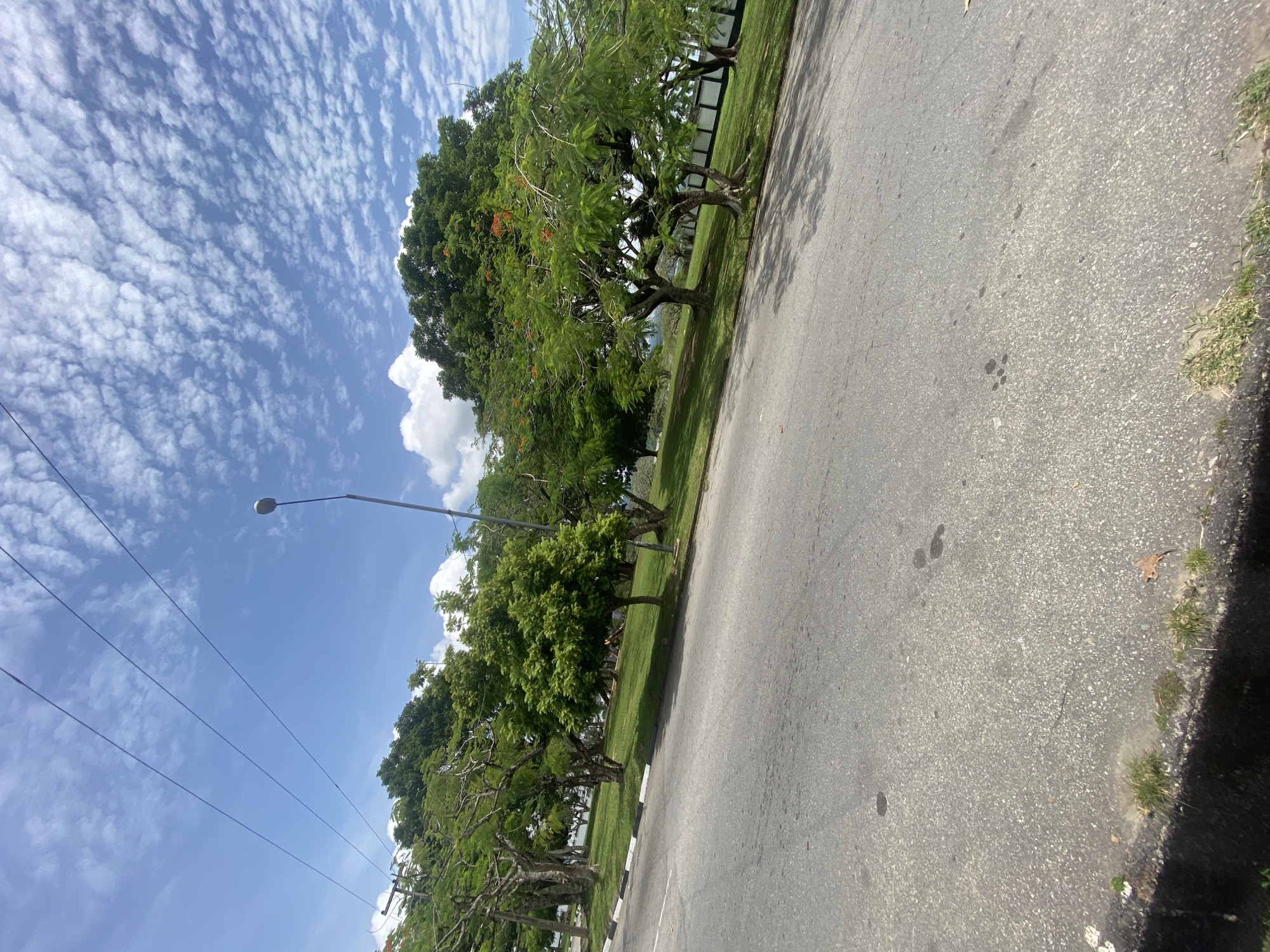 The image depicts a road running adjacent to a line of trees and green space under a partly cloudy sky. A light pole and utility wires are visible on the left side. The road surface is asphalt and shows some discoloration. The trees provide shade, and there is grass visible between the trees and the road. There are no people visible in the scene. It is not possible to determine whether the location of the scene is in Calabar, Nigeria.