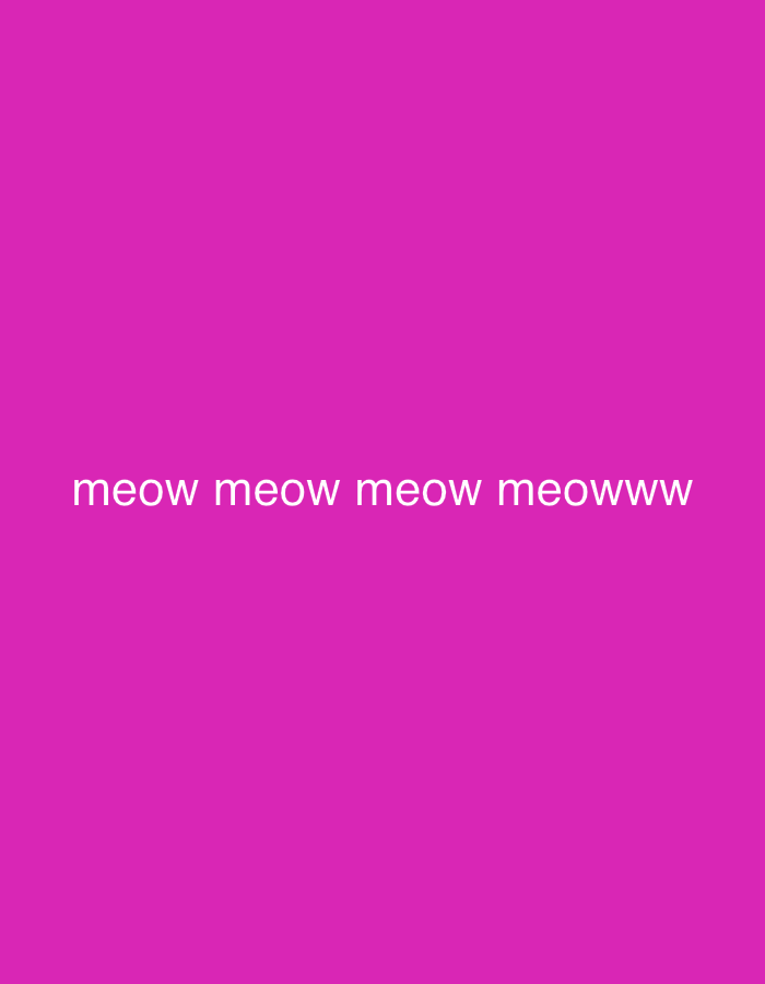 The image shows the text "meow meow meow meowww" in white font against a solid magenta background. There is no indication of location.