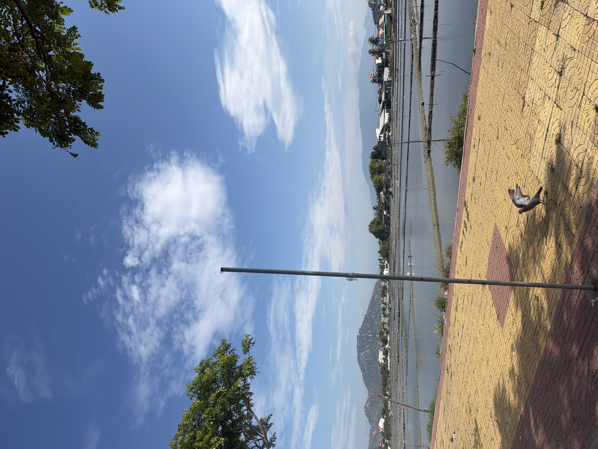 This image captures a bright, sunny daytime scene in Ninh Chu Ward, Vietnam, featuring a mix of natural and built elements. The sky is a clear, vibrant blue with scattered white, wispy clouds. Green tree foliage is visible in the foreground, framing the upper and lower left sections of the image.
The midground is dominated by a large body of water, likely aquaculture ponds or salt farms, characterized by numerous linear structures dividing its surface. Across this water, a distant shoreline reveals a scattering of white and light-colored buildings, with a range of hazy, blue-grey mountains forming the backdrop on the horizon.
In the immediate foreground, a section of patterned walkway is visible, composed of alternating yellow and reddish-brown square tiles featuring circular designs. A tall, slender grey pole rises vertically from this walkway, extending upwards with a small metal ring attachment near its top.
A single grey bird, appearing to be a pigeon or dove, is captured on the patterned walkway. Its wings are partially spread, suggesting it is either landing or preparing to take flight, creating a dynamic moment. The bird casts a distinct shadow on the ground, indicating a high sun position, likely signifying midday or early afternoon. The overall scene suggests a peaceful, warm day in a coastal or rural setting. No visible text is present in the image.