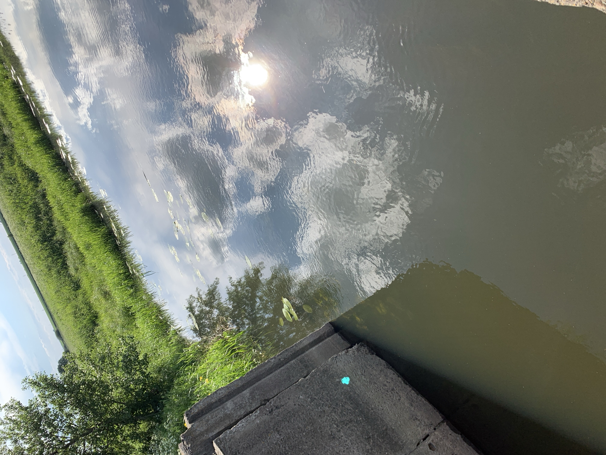 The image depicts a canal in Блеўчыцкі сельскі Савет, Belarus, with a concrete embankment on the left. Lush green grass and trees line the far bank of the canal, extending towards a field under a cloudy sky. The water's surface reflects the sky and surrounding vegetation, with lily pads visible on the water. Sunlight glints off the water, creating bright spots. A small, teal-colored mark is present on the concrete embankment.