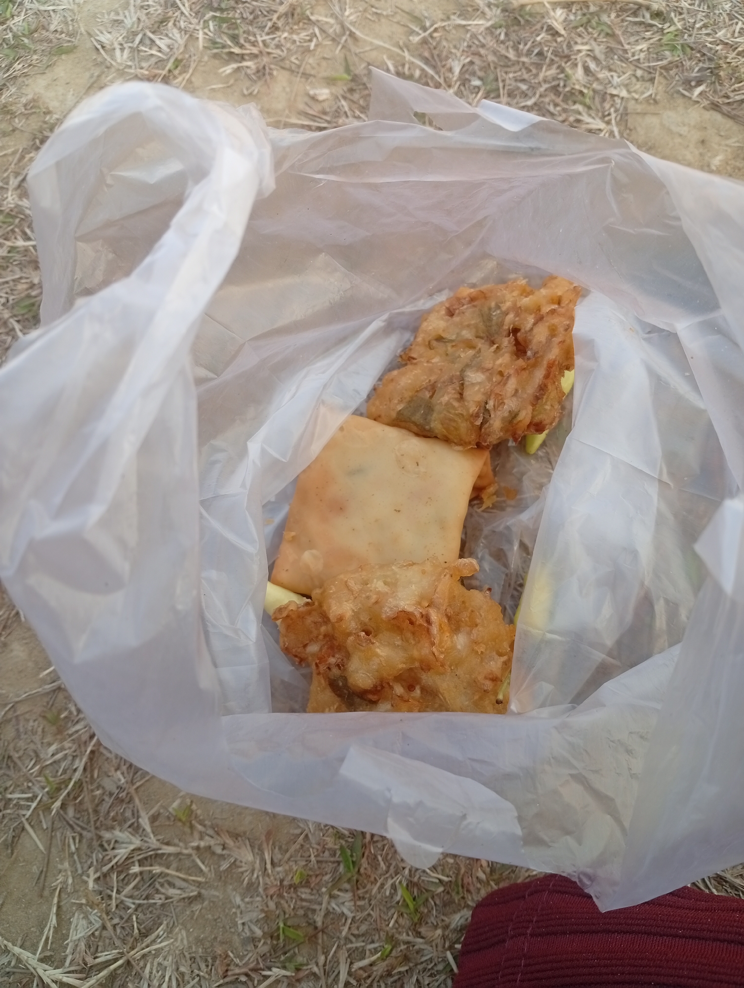 In Sarangmeduro, Indonesia, a clear plastic bag contains several fried snacks. Two pieces of fried food, appearing to be some form of fritter or tempura, are visible on the right side of the bag. One is larger and appears to have vegetables mixed into the batter. The other is smaller and more irregularly shaped. To the left of these, there is a square, flat item that looks like a fried pastry, possibly a savory snack like an empanada or martabak. Another fried fritter is positioned in the lower portion of the bag. The bag is resting on dry grass and soil, suggesting an outdoor setting. A portion of a dark red garment, possibly pants or a skirt, is visible in the lower right corner of the frame. The overall scene is informal and appears to be a casual meal or snack taken outdoors.
