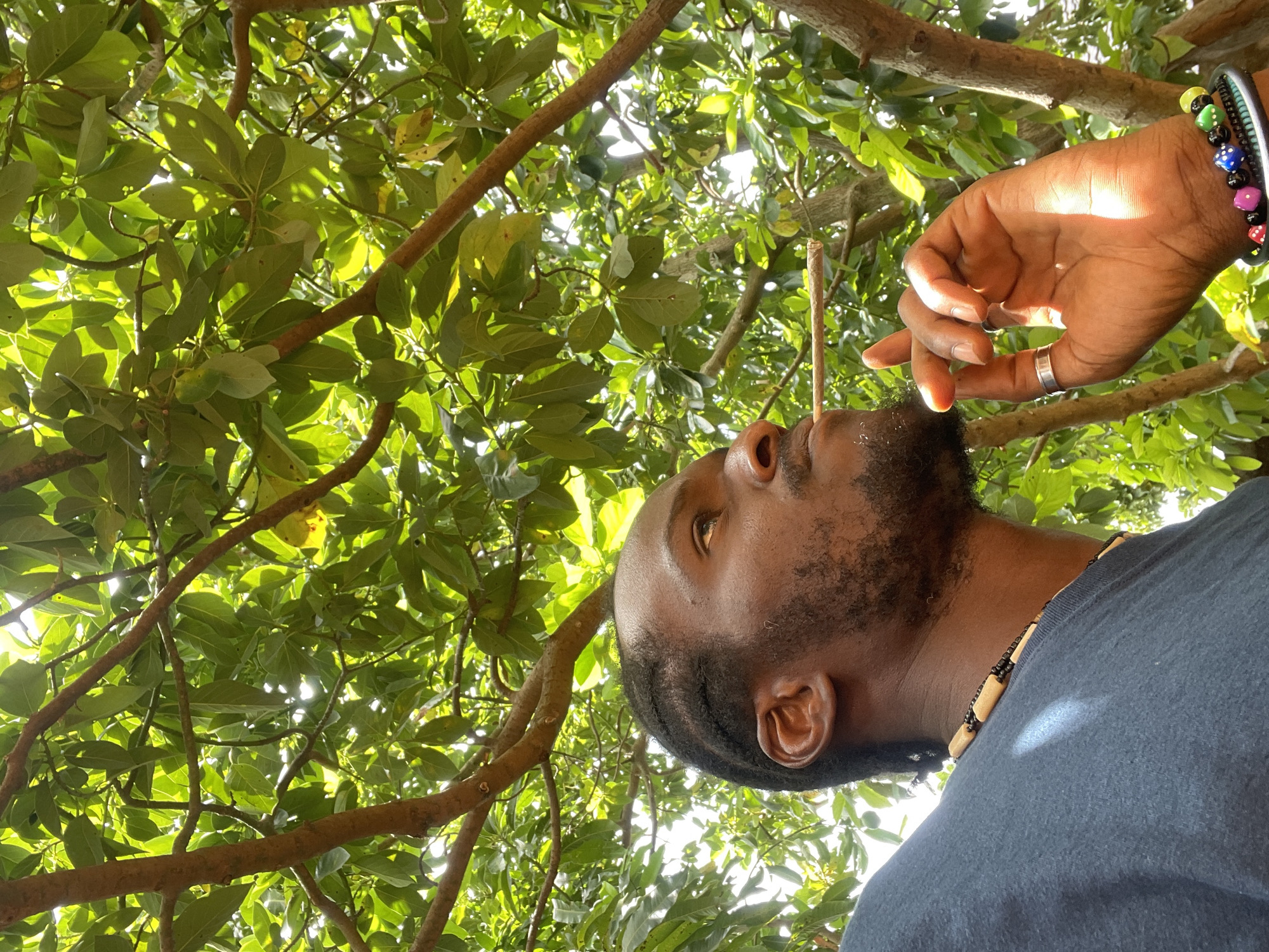 The image depicts a person with dark skin, a beard, and braided hair. They are wearing a dark-colored t-shirt and a beaded necklace. A hand is visible above their face, adorned with a silver ring and a beaded bracelet. The person appears to be holding a lit marijuana blunt with their hand. The background consists of branches and green leaves of a tree, suggesting the person is outdoors. It is taken from a low angle looking up at the person. There is no definitive evidence in the image to confirm a location in the city of Jos, Nigeria.