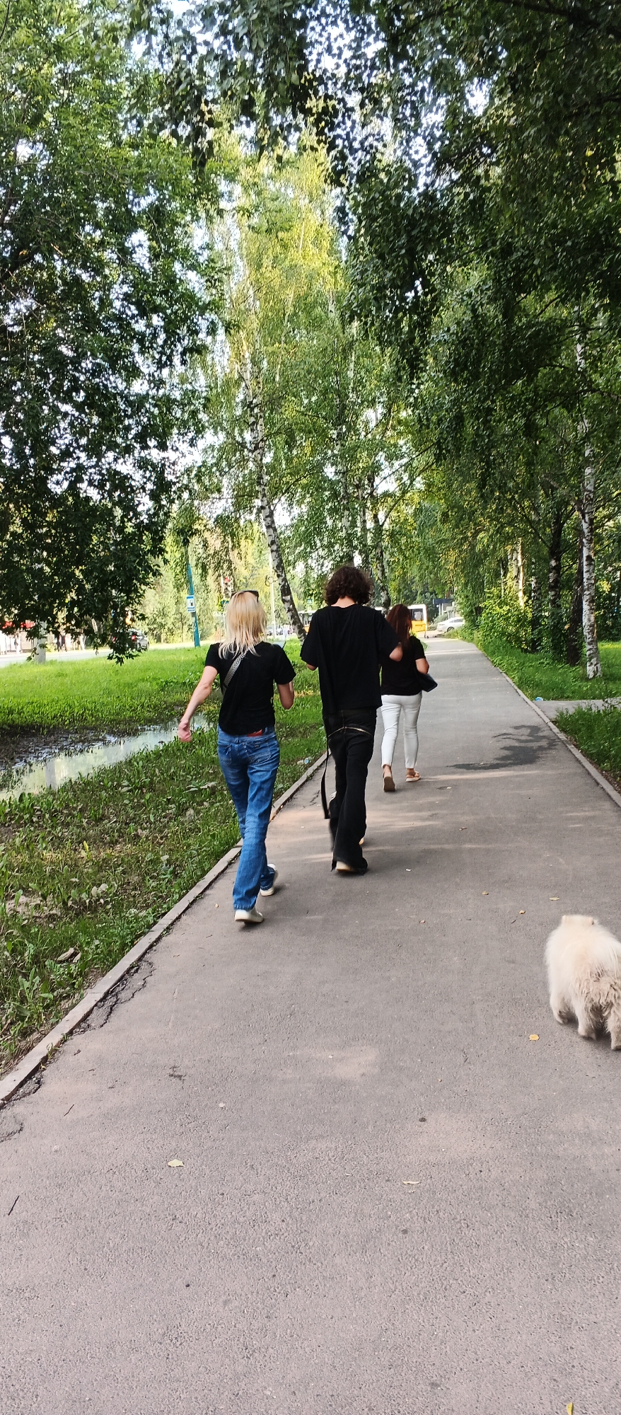 The image shows a paved pathway lined with trees in Izhevsk, Russia. Three people, two women and one man, are walking away from the camera down the path. The woman in front has blonde hair and is wearing a black t-shirt and blue jeans. The man next to her has dark, curly hair and is wearing a black t-shirt and black pants. The third person, a woman, is wearing a black t-shirt and white pants. In the foreground to the right, a small, fluffy white dog is walking away from the camera. The pathway is bordered by a grassy area with some puddles and a line of trees. The trees are lush and green, suggesting it is summer or late spring. In the background, there are more trees and some buildings, indicating an urban or suburban setting.