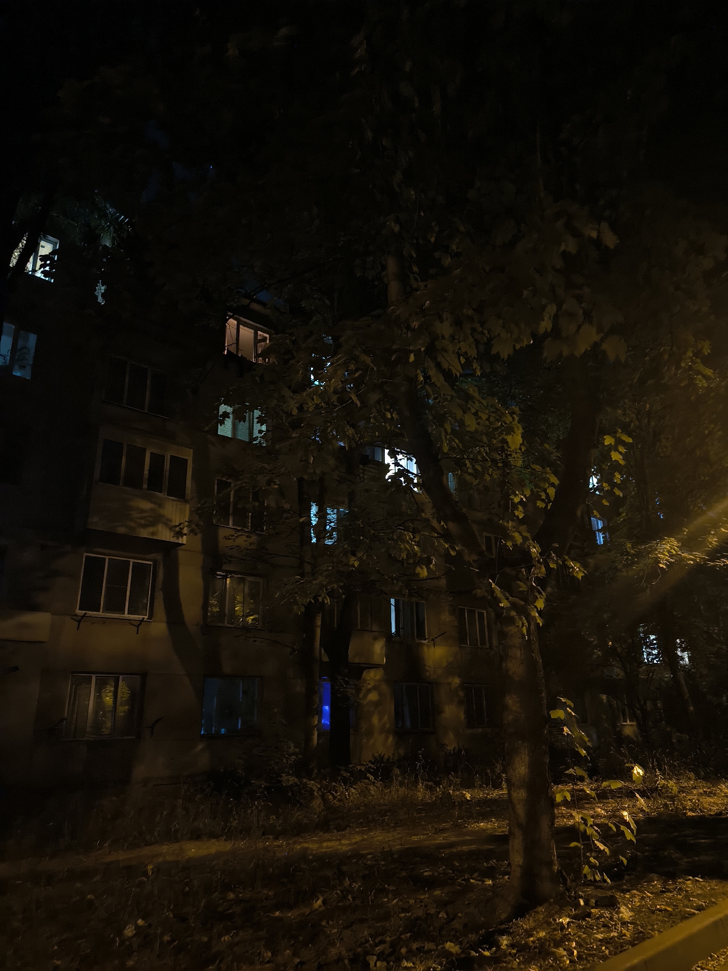 The image depicts the exterior of a multi-story apartment building at night, possibly in Chișinău, Moldova, as indicated by the context of the query. The building has a facade with multiple windows, some of which are illuminated with artificial light, casting a warm yellow and cool blue glow. Trees with dense foliage are positioned in front of the building, partially obscuring the view of the windows and casting shadows on the structure. The ground in front of the building appears to be covered with dry grass and fallen leaves, suggesting an outdoor, possibly urban, environment. The lighting conditions suggest it is nighttime, with streetlights or interior lights providing the illumination. There are no people or clear actions visible in the scene. The overall atmosphere is dark and somewhat atmospheric.