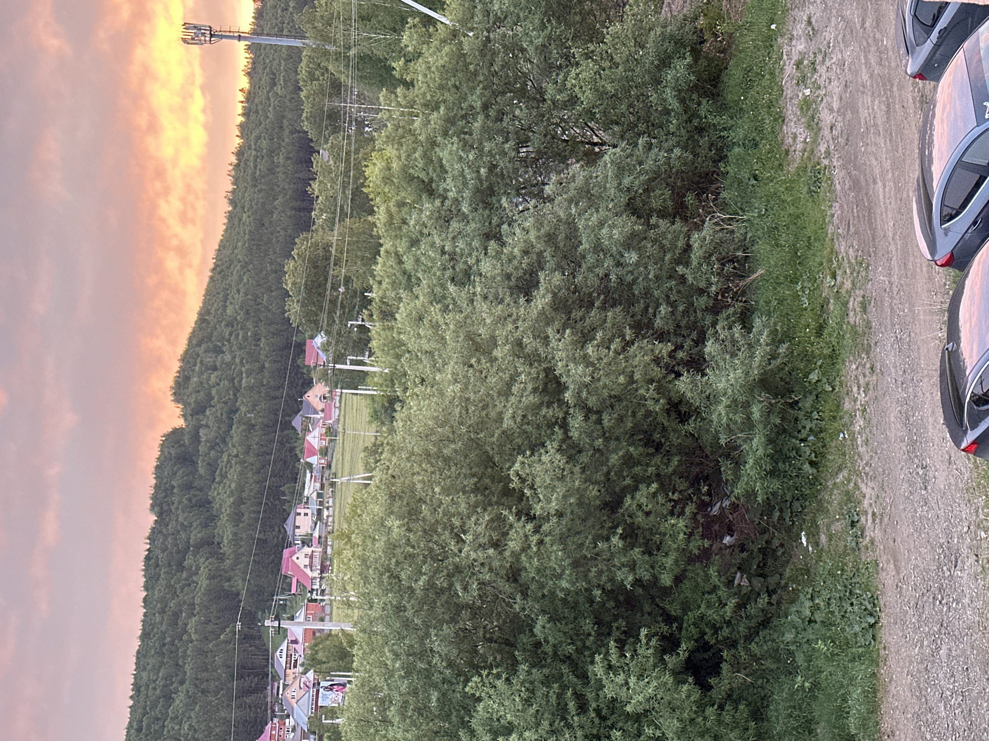 The image shows a landscape featuring a town nestled against a forested hill under a colorful sunset sky. Houses with red-tiled roofs are visible amidst the trees and power lines that run through the town. In the foreground, there are lush green bushes and a dirt road with parked cars. The location is unknown.