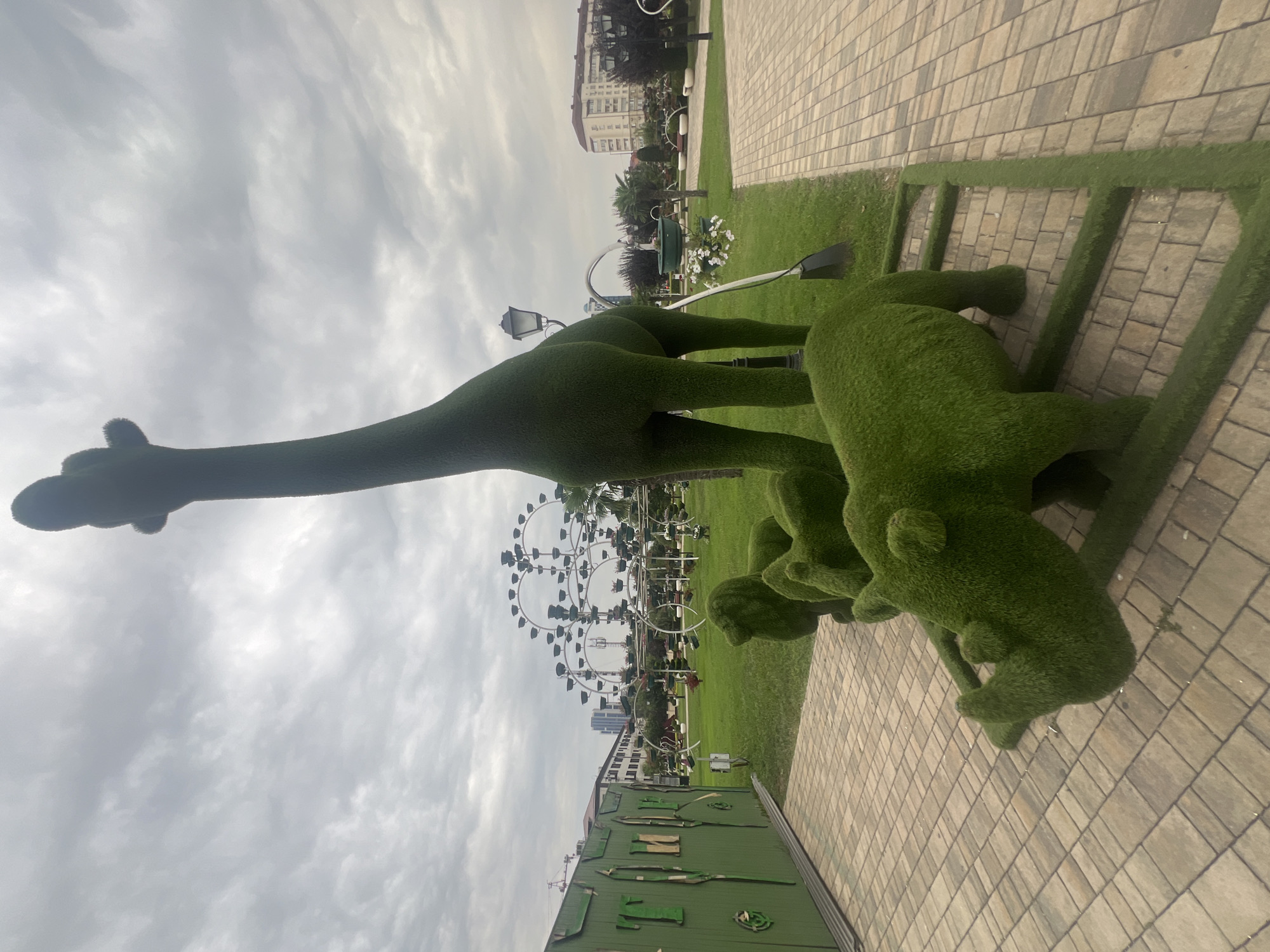 In an outdoor park in Grozny, Russia, a tall, green, topiary sculpture of a giraffe stands prominently in the foreground, its head tilted slightly upwards against a cloudy sky. In front of the giraffe, two smaller, green topiary sculptures of rhinoceroses are positioned on a raised platform. The ground in the foreground is paved with tan and grey interlocking stones. Behind the topiary animals, a lush green lawn stretches towards a decorative Ferris wheel structure with multiple tiers of planters. In the mid-ground, a green fence with carved letters spelling "ТИМ" is visible on the left. The background features palm trees, streetlights, and buildings, indicating an urban environment. The overall scene depicts a decorative park or garden area.