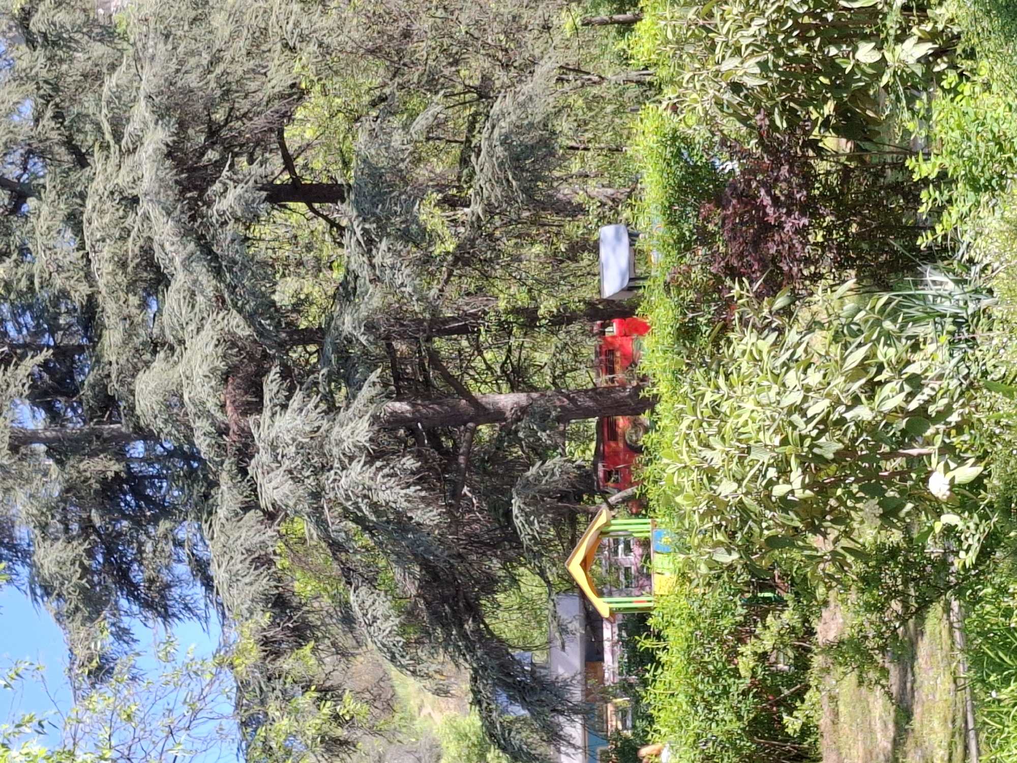 The image shows a park scene in Plovdiv, Bulgaria. In the foreground, dense green bushes and foliage dominate the right side. A colorful play structure with a yellow roof and green accents is nestled within the greenery. Behind the bushes, a glimpse of a red structure and a white object are visible. A large, mature tree with drooping branches occupies the left side of the frame, casting shadows on the playground area. In the background, a partial view of a clear blue sky is present, suggesting a sunny day. The scene conveys a sense of a secluded playground within a natural park setting.