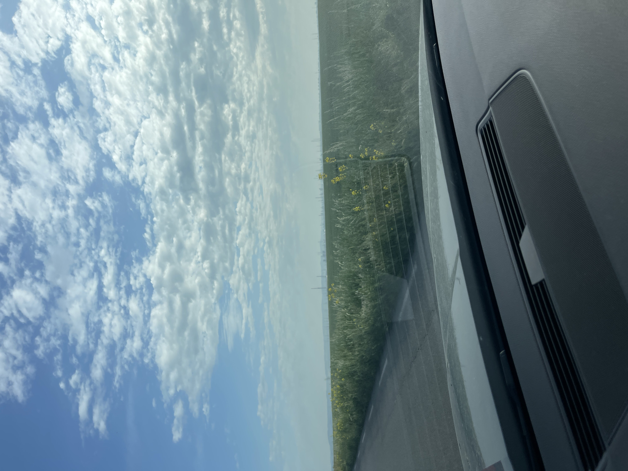 The scene is viewed from inside a car. The dashboard with a rectangular speaker grill is in the foreground. Through the windshield, a roadside with tall grass and small yellow flowers is visible. Beyond the field, the sky is blue with scattered white clouds. The location is not explicitly discernible as Svoboda, Bulgaria, based on the visual information provided. There are no people visible in the frame.