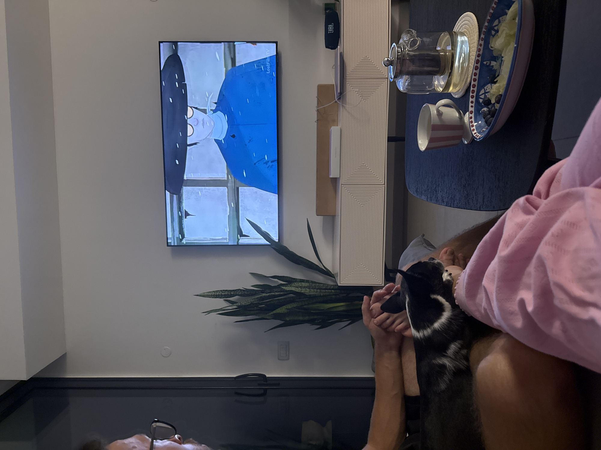 A person with glasses is visible at the bottom left of the frame, lying on a dark surface with a black and white dog on their lap. The dog is being petted by the person. The person is wearing a pink garment.
Behind them is a living room setting with a wall-mounted television displaying a cartoon character with a blue coat and a black umbrella. A tall cabinet with a patterned front and a JBL speaker is located to the right of the television. Below the television is a large potted snake plant.
On a table to the right, there is a tea set consisting of a glass teapot, a saucer, a bowl of fruit, and a red and white striped teacup. The location is likely indoors, possibly in a home in Ramat Gan, Israel, though there is no specific evidence to confirm the location within the city.