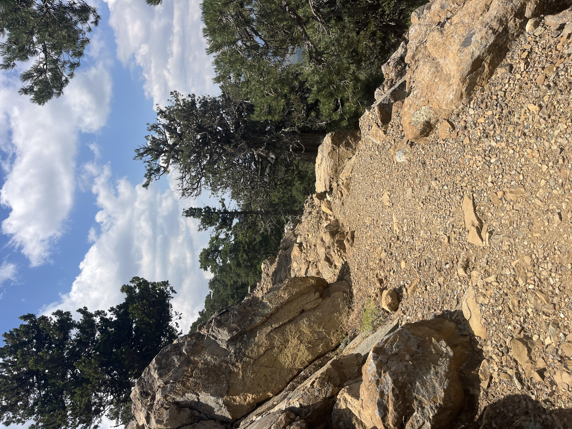 The image depicts a rocky mountain trail in Prodromos, Cyprus, under a partly cloudy blue sky. The trail is composed of loose gravel and scattered rocks, with larger boulders lining the left side of the path. Dense green pine trees and other vegetation are visible on the slopes and in the background, suggesting a natural, mountainous environment. The sunlight casts shadows, indicating it is daytime. There are no people or animals visible in the scene.