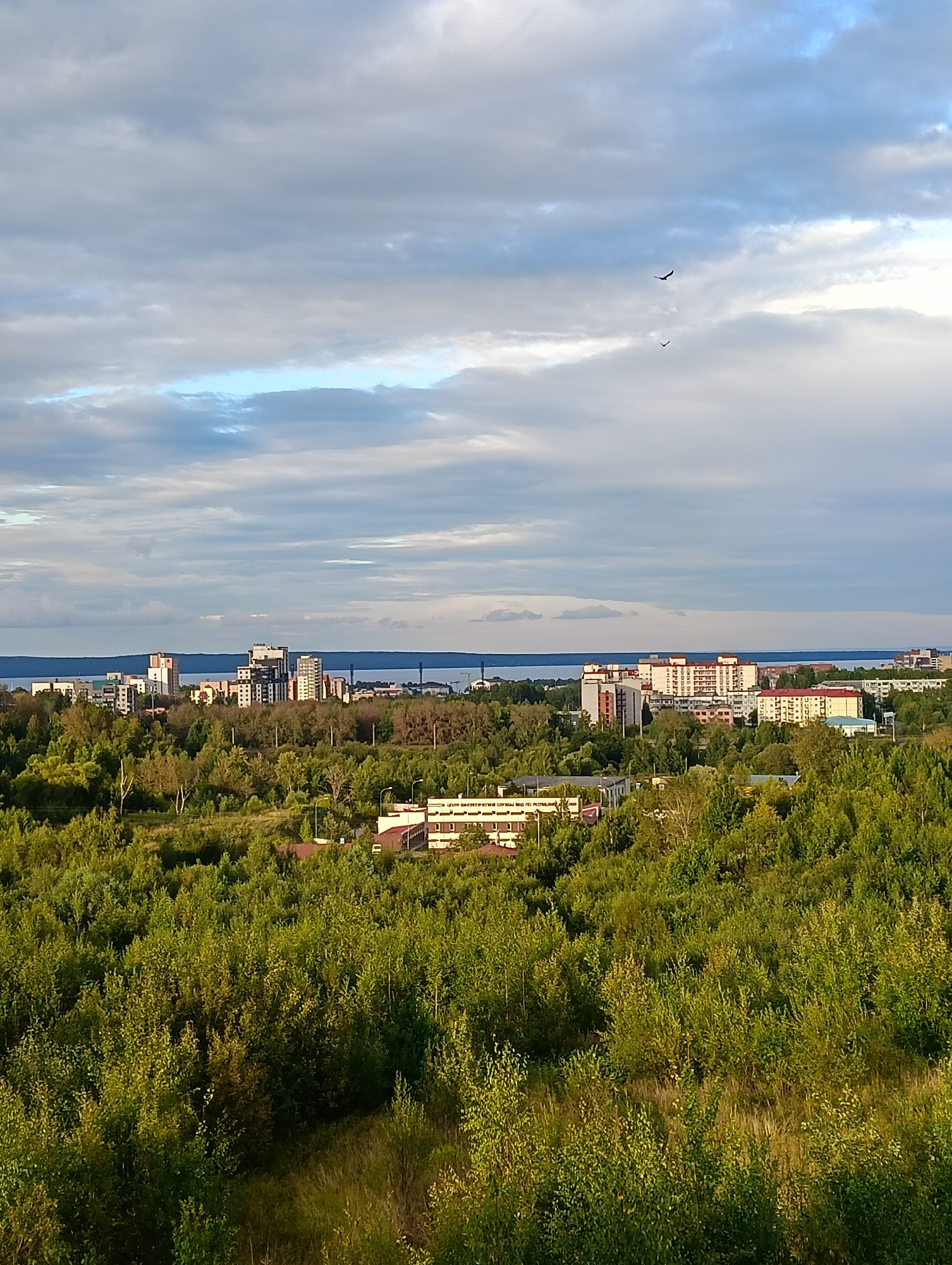 This is a photograph taken from an elevated vantage point overlooking the city of Petrozavodsk, Russia. In the foreground, a dense canopy of green trees fills the lower half of the frame, interspersed with patches of dry grass. Beyond the trees, a cityscape emerges, characterized by numerous apartment buildings of varying heights and architectural styles. The buildings are clustered together, with some taller, modern structures standing out amongst older, more modest ones.
Further in the distance, a wide expanse of dark blue water, likely Lake Onega, stretches horizontally across the middle ground. The horizon is marked by the faint outline of land on the other side of the lake. The sky above is filled with a mix of light and dark clouds, with patches of blue sky visible. Two birds are silhouetted against the clouds in the upper right quadrant of the image, appearing to be in flight. The overall scene depicts a semi-urban environment with a significant natural element, likely captured during the late afternoon or early evening given the lighting conditions. The perspective suggests the photo was taken from a hill or a tall building.